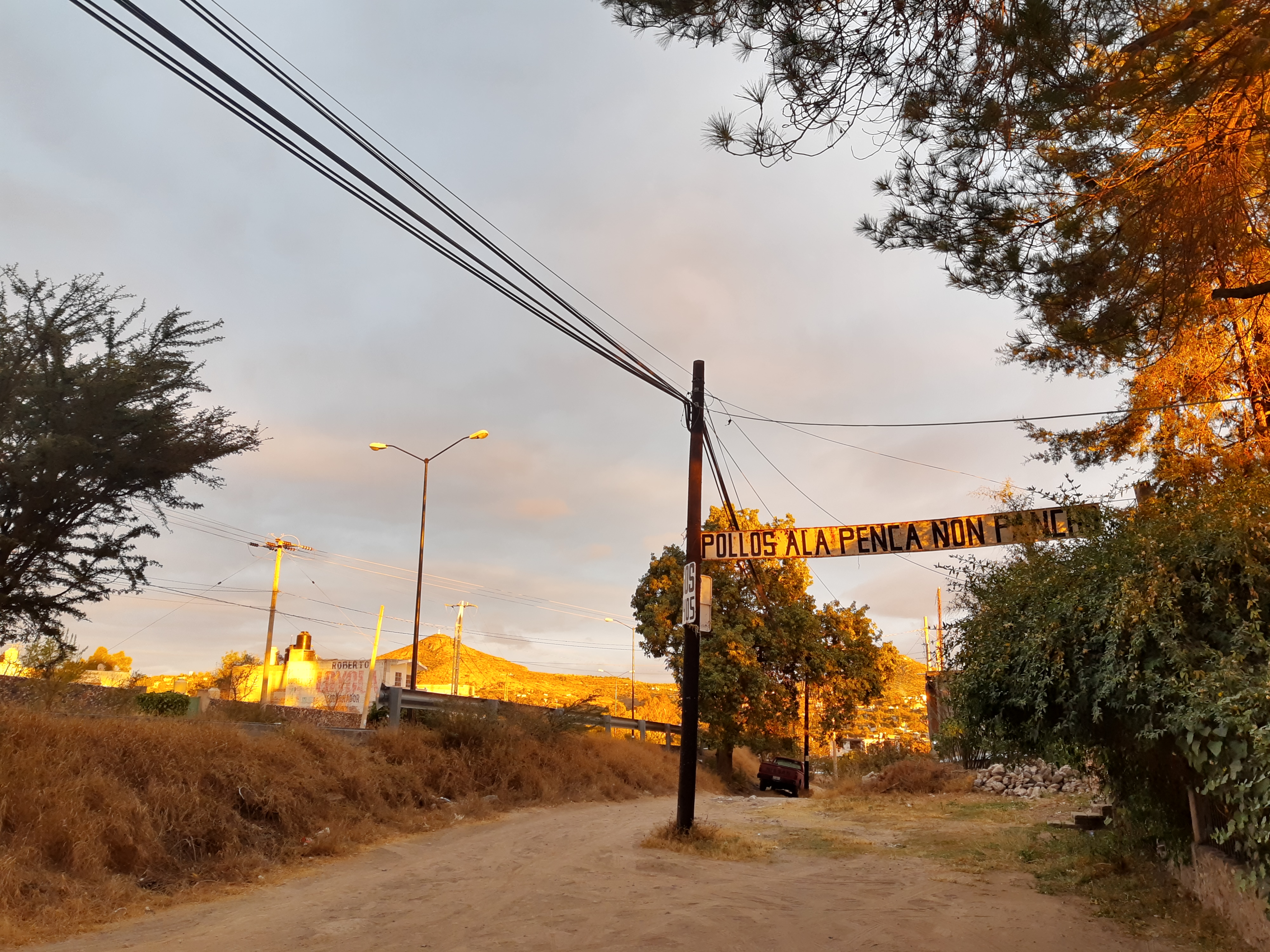 Pollos a la Penca "Don Pancho" image 2