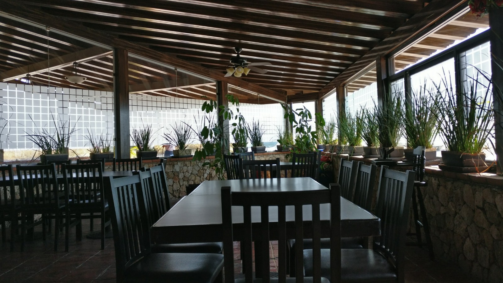 La Terraza image 3