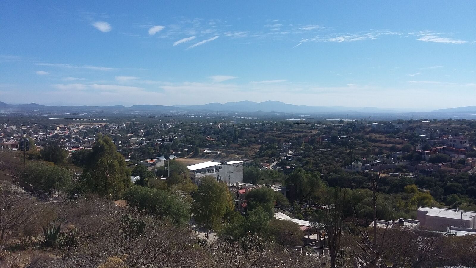 La Terraza image 9