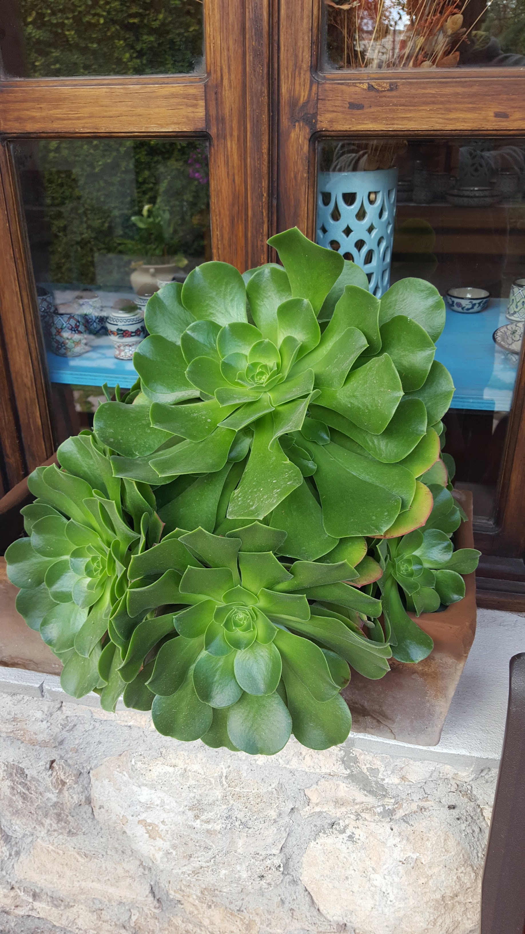 Rosticeria "Winner Chicken" image 2