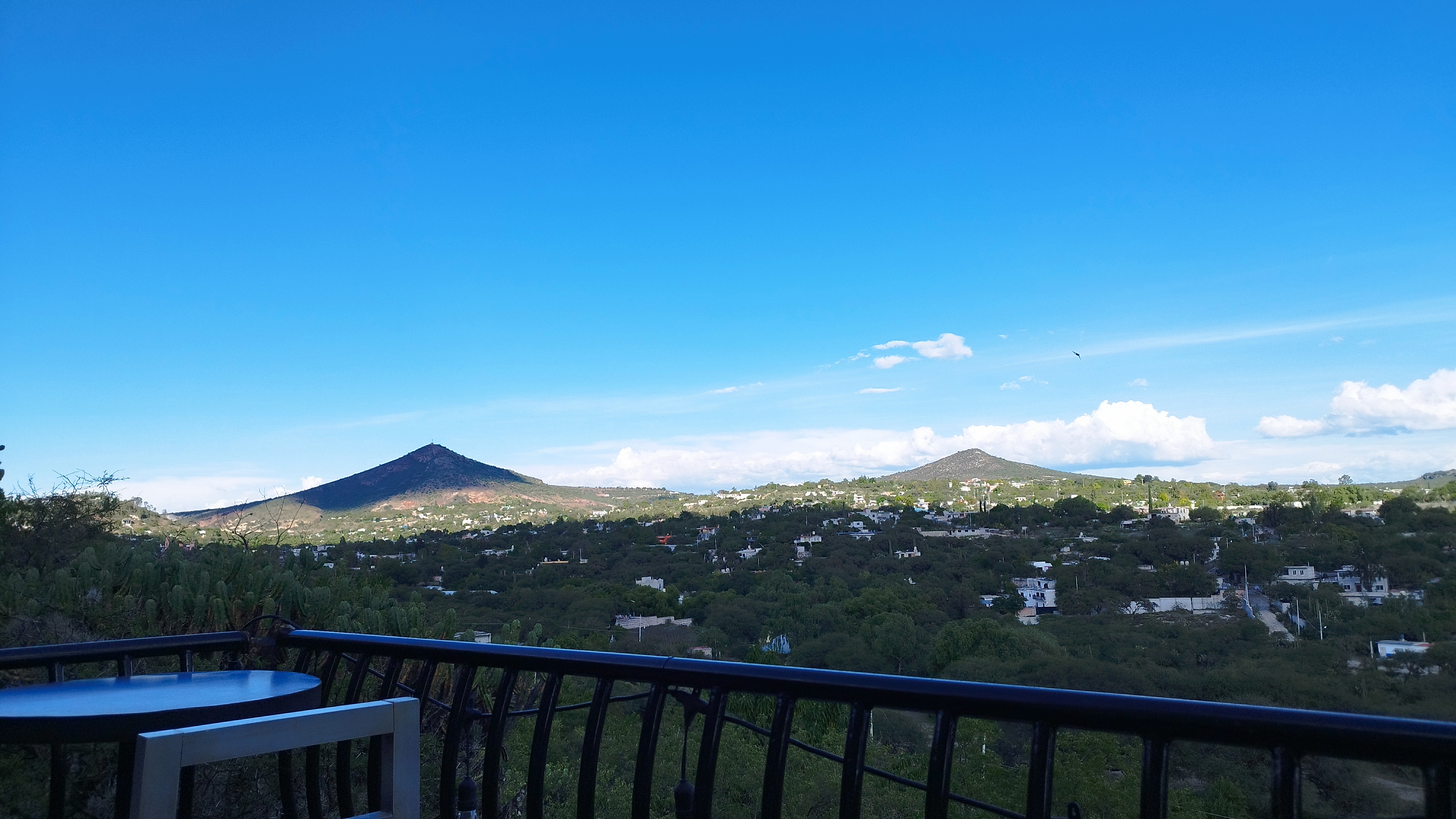 LUNA da sports bar & grill image 5