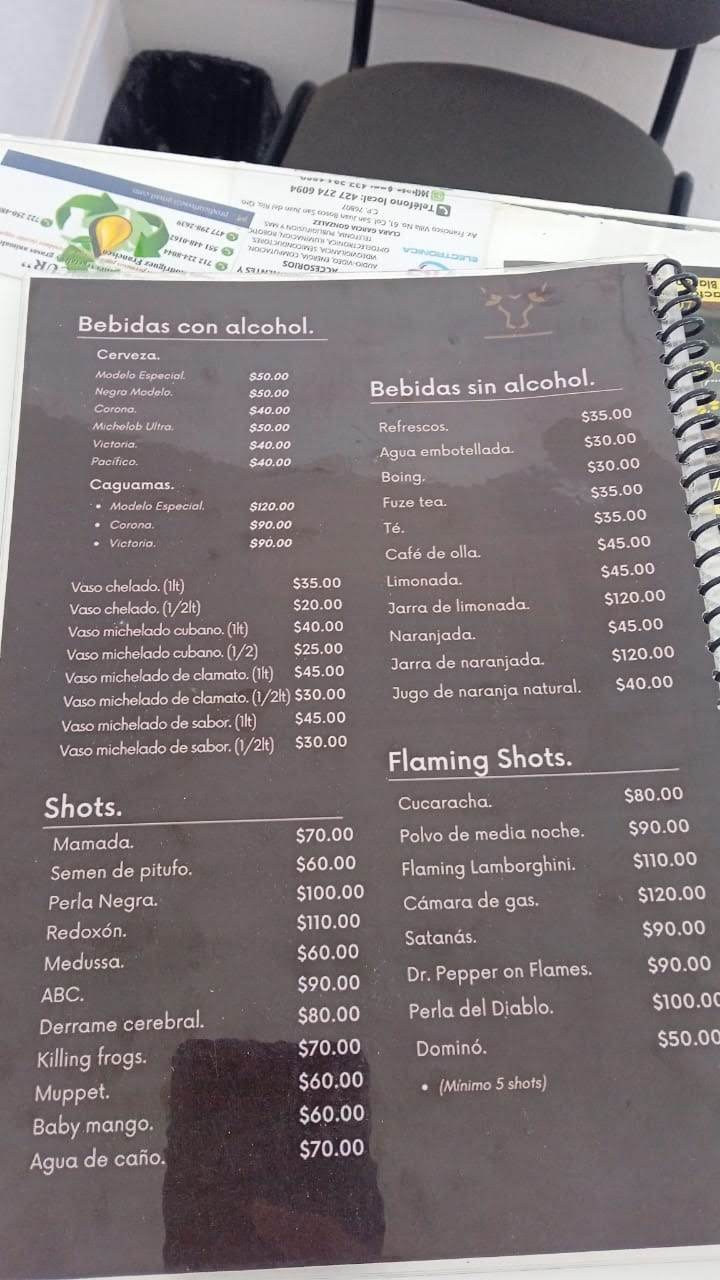 Bonanza Terraza image 4