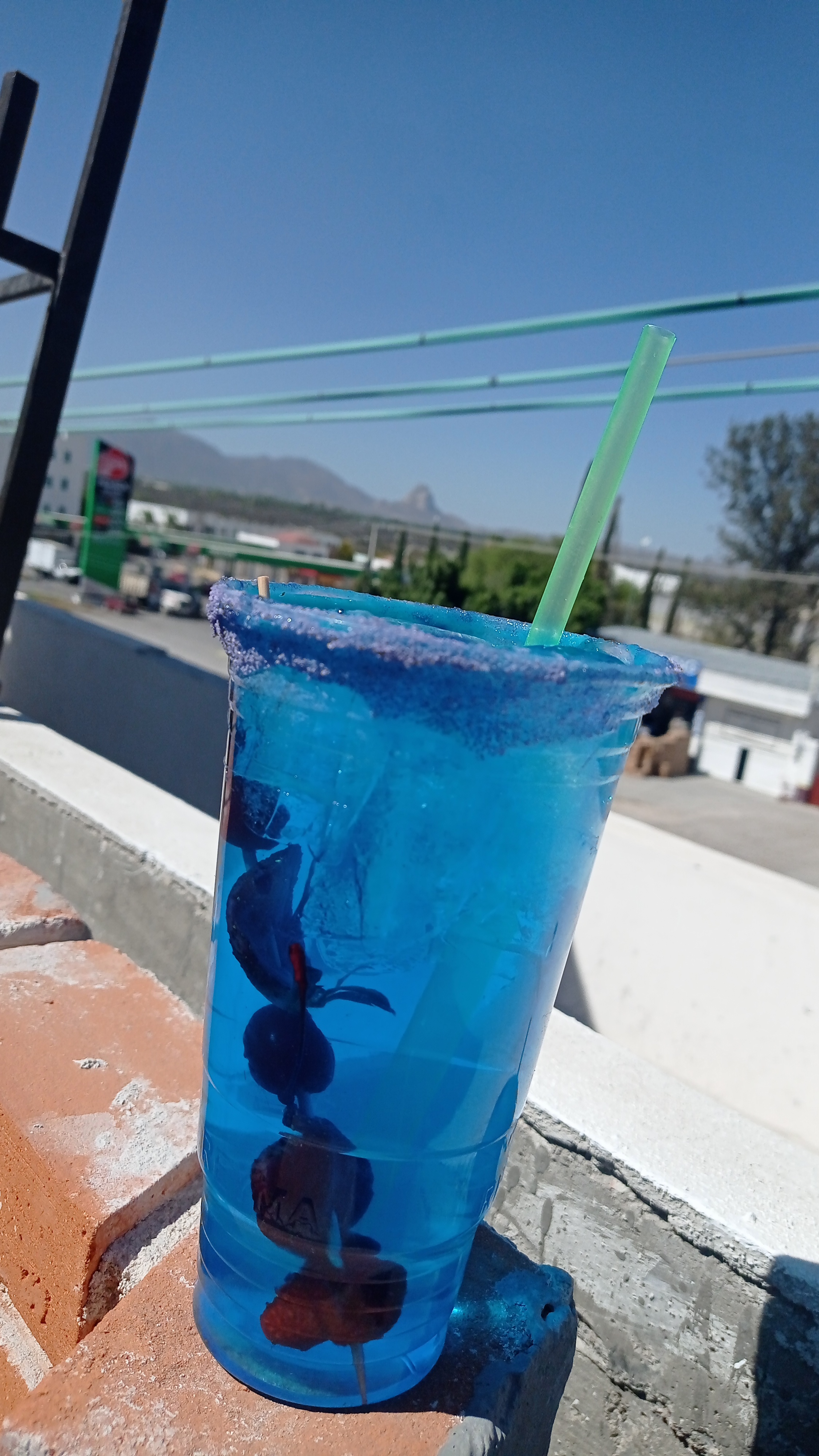 Bonanza Terraza image 5