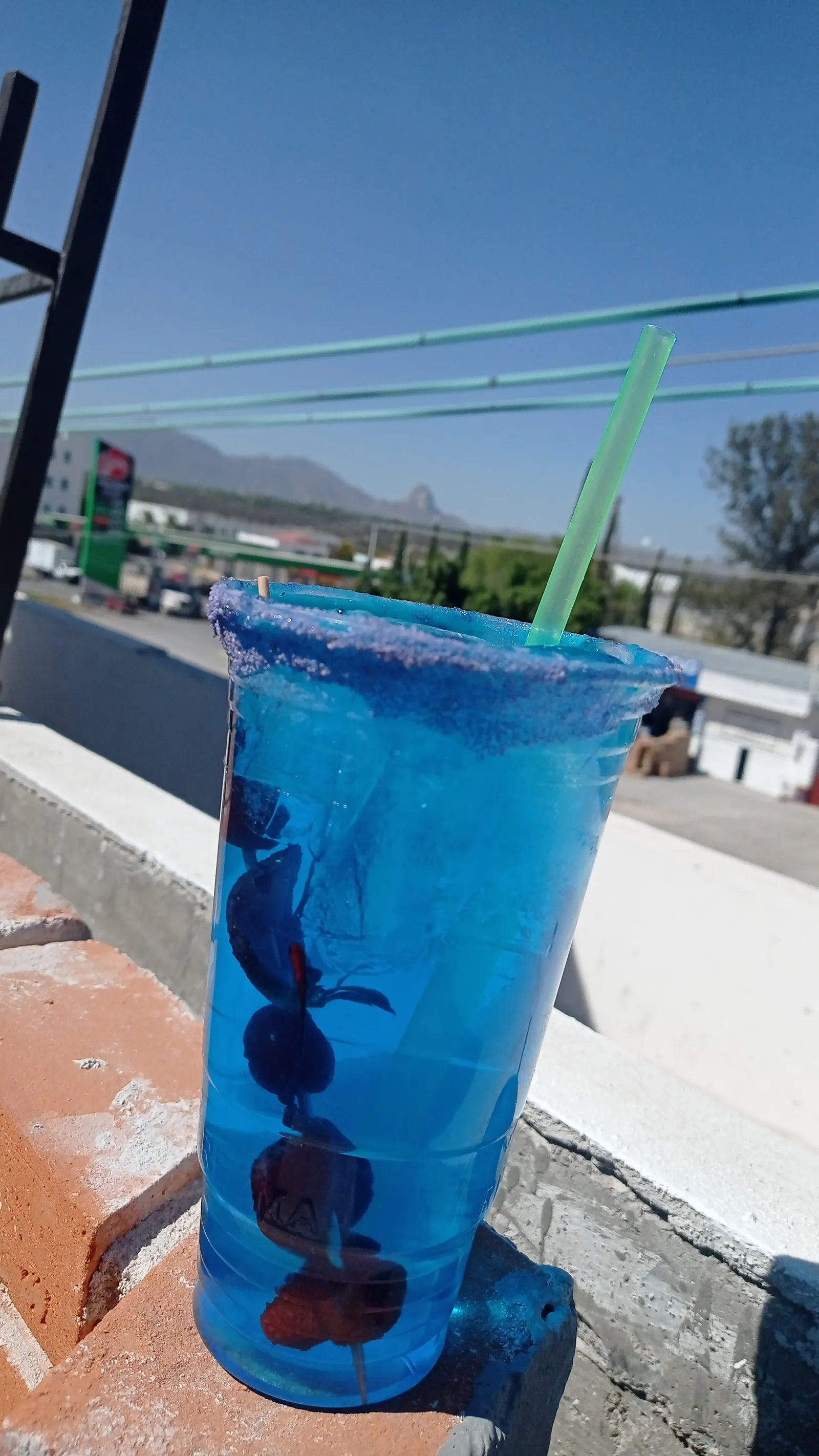 Bonanza Terraza image 5