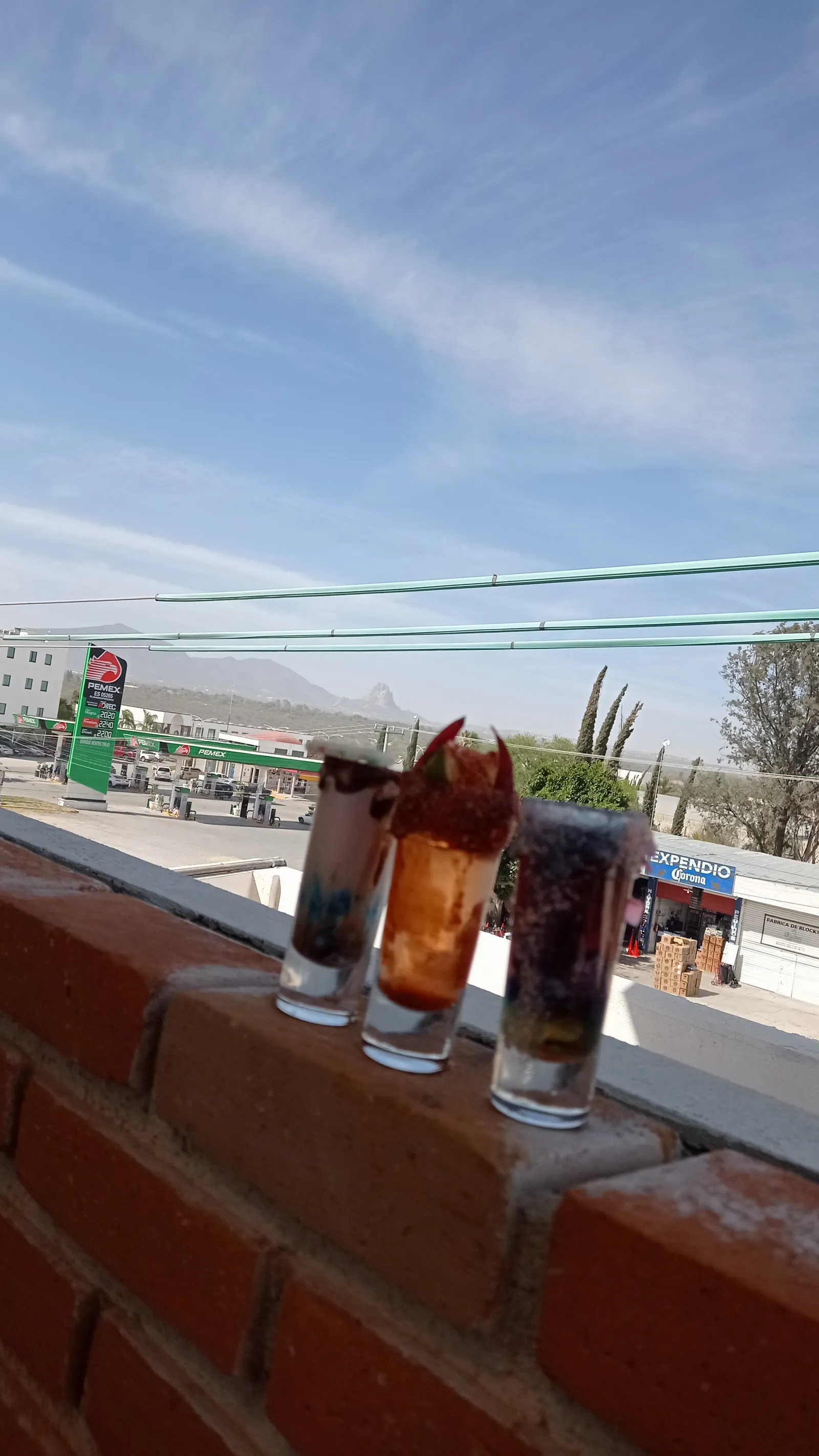 Bonanza Terraza image 7