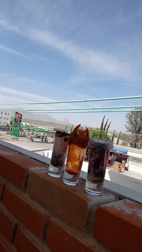 Bonanza Terraza image 7