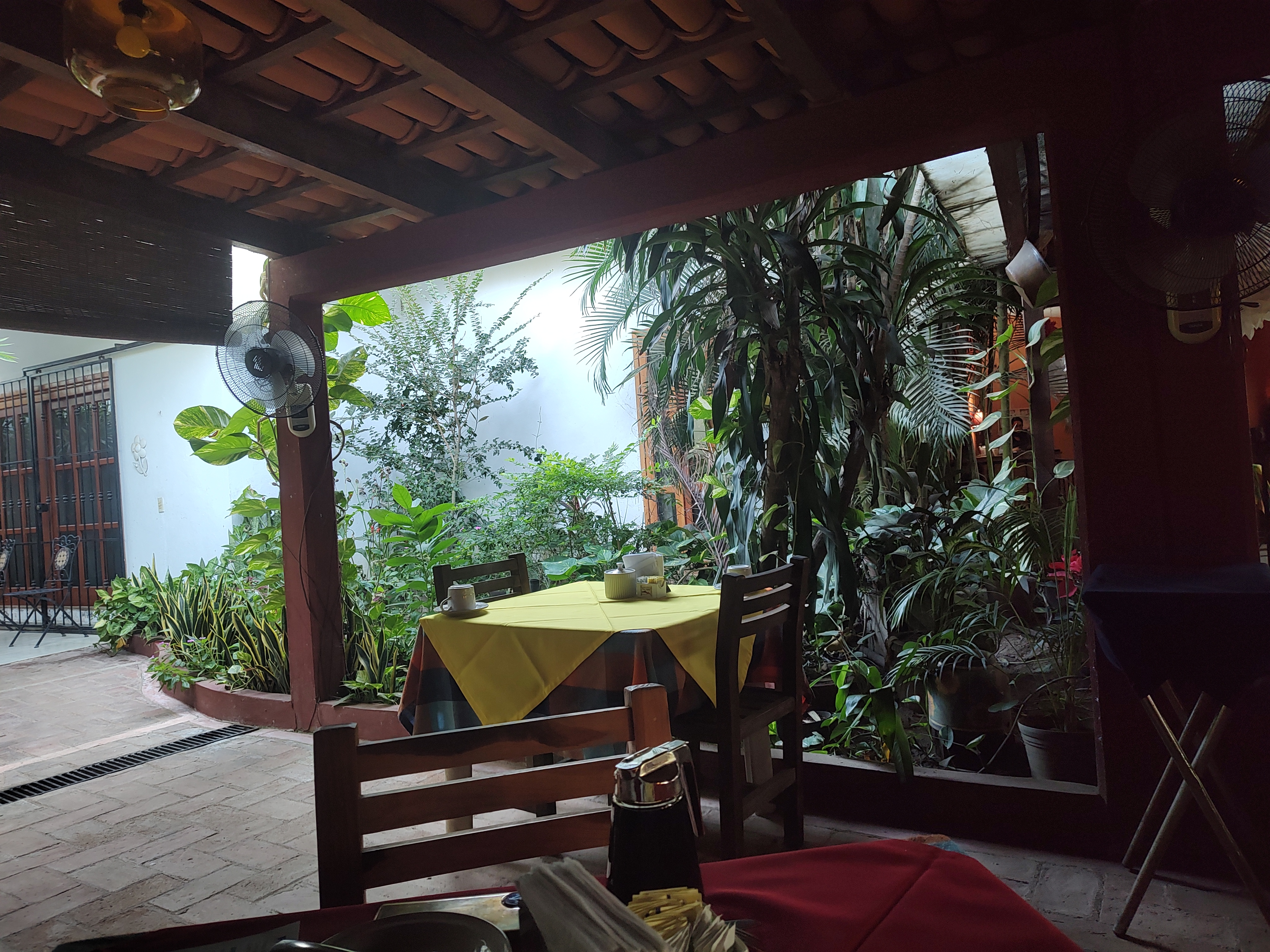 Rojo Canela image 10