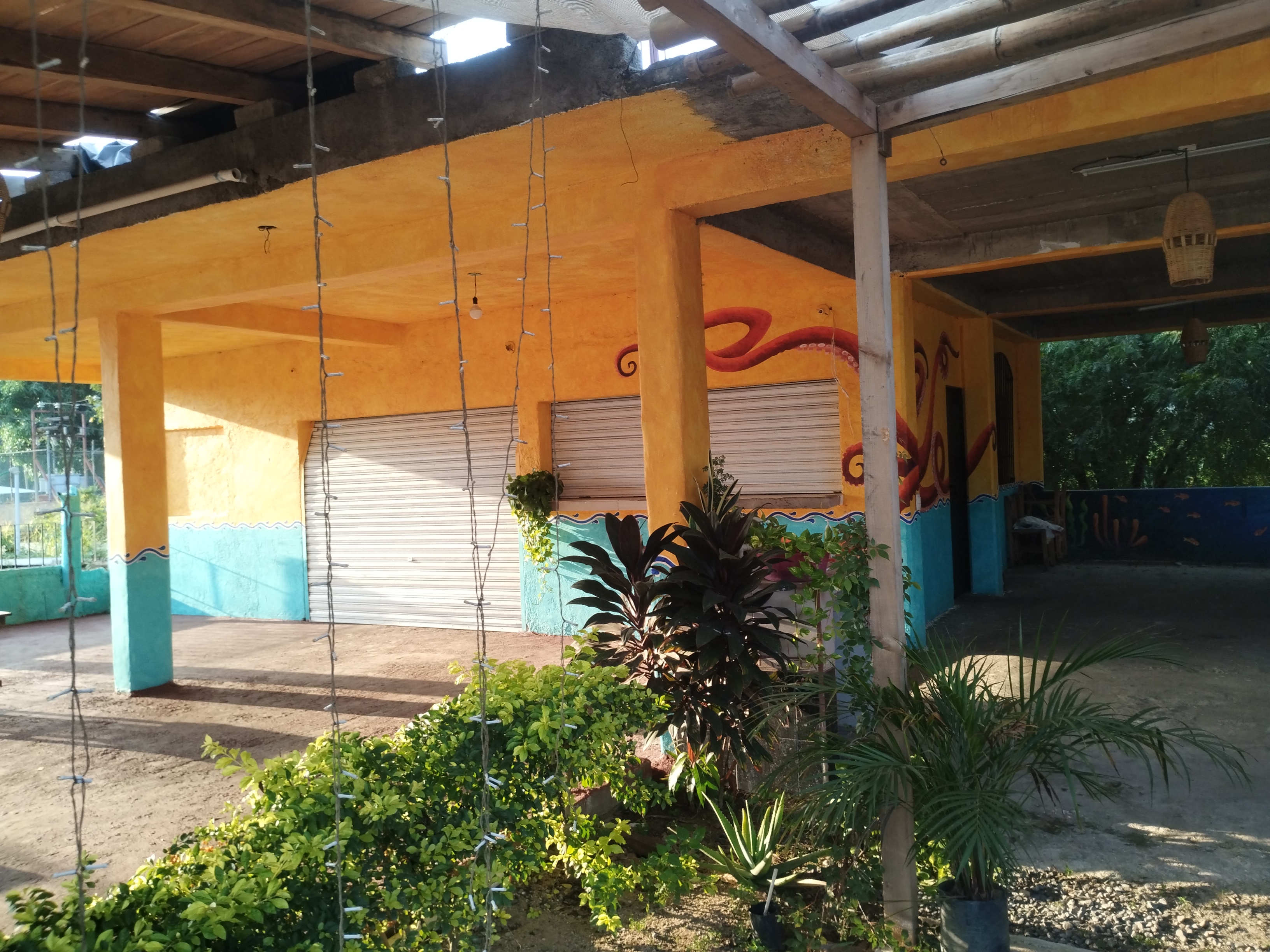 La Yaquesita image 9