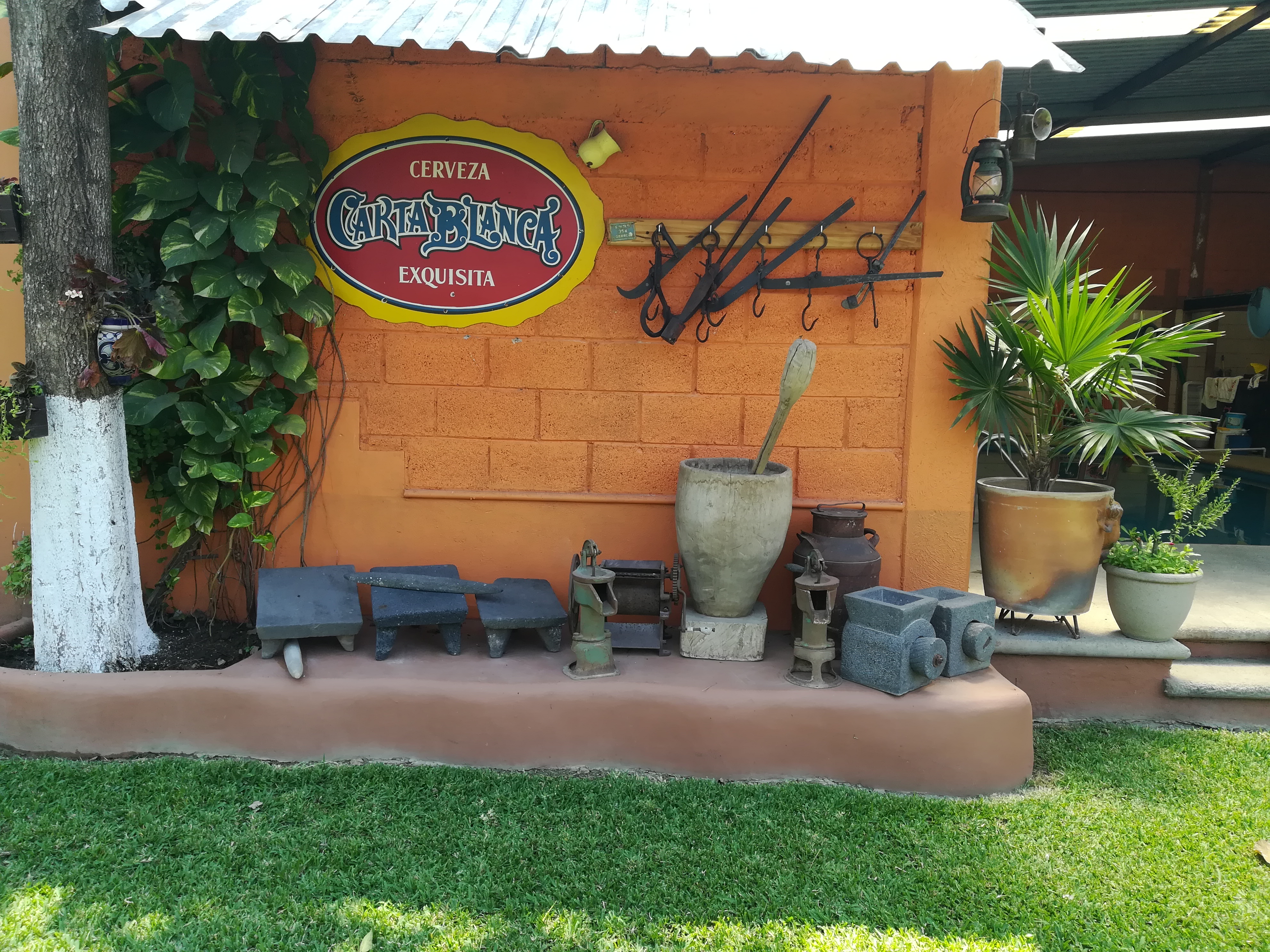 La Palapa de Carlin image 1