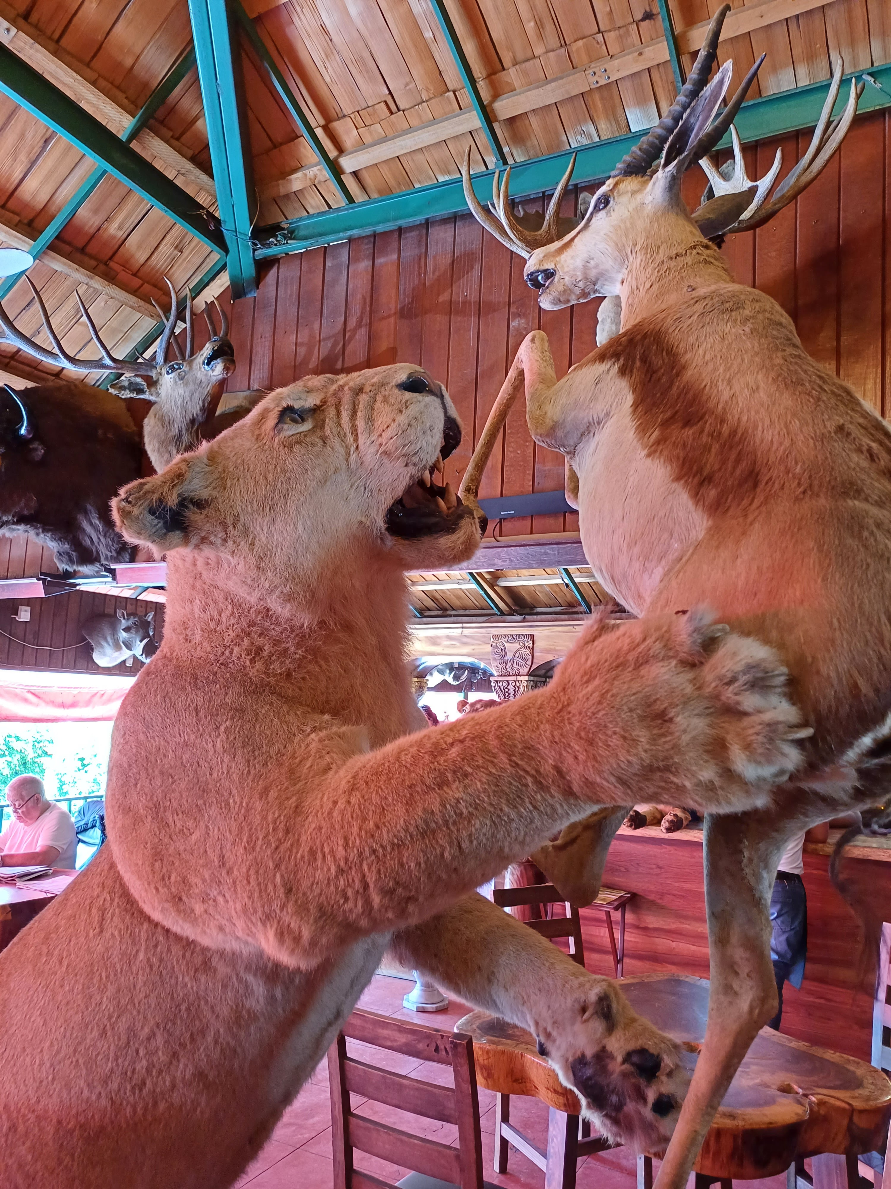 Los Cazadores image 5