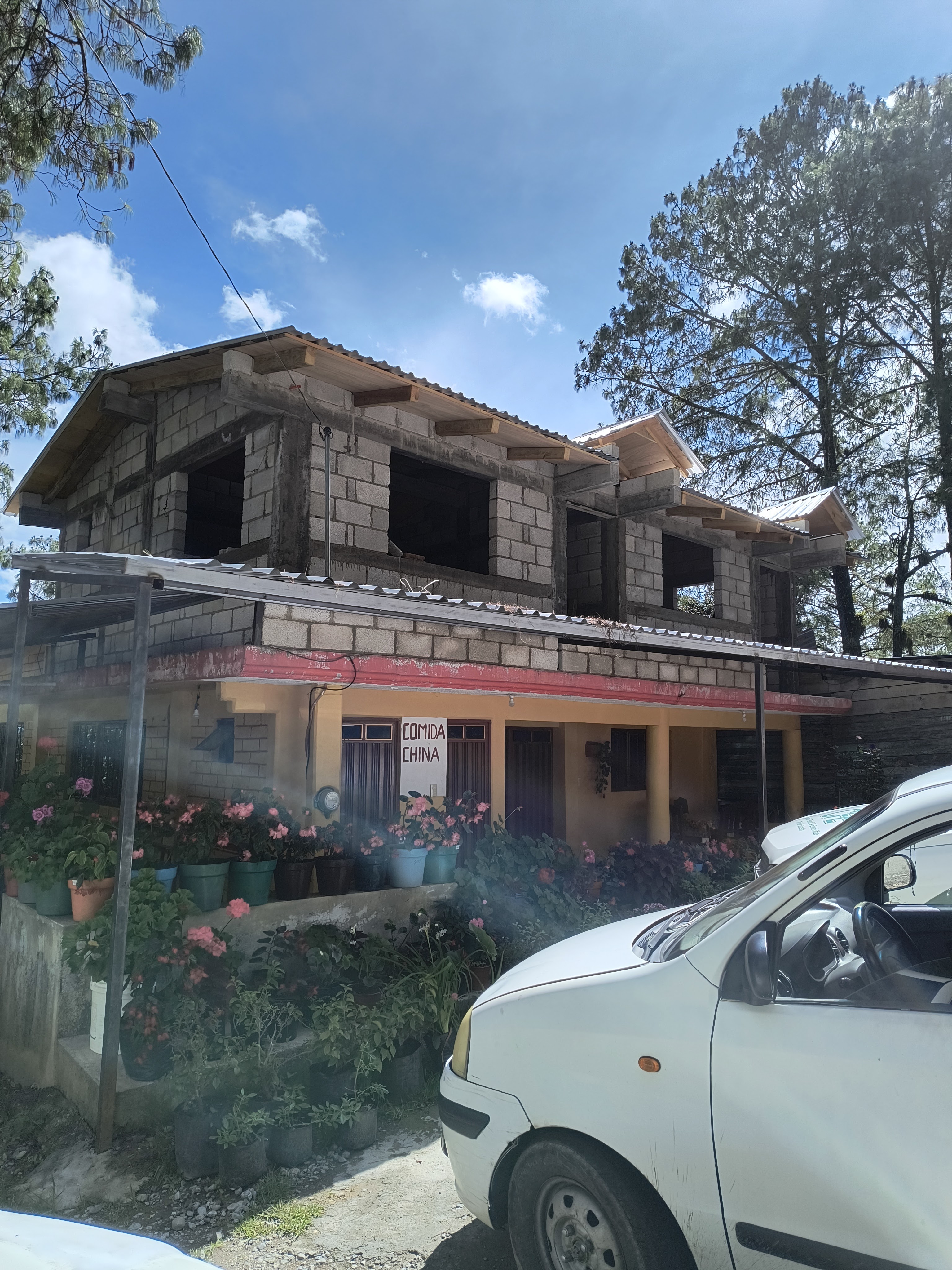 Dragón Rojo image 2