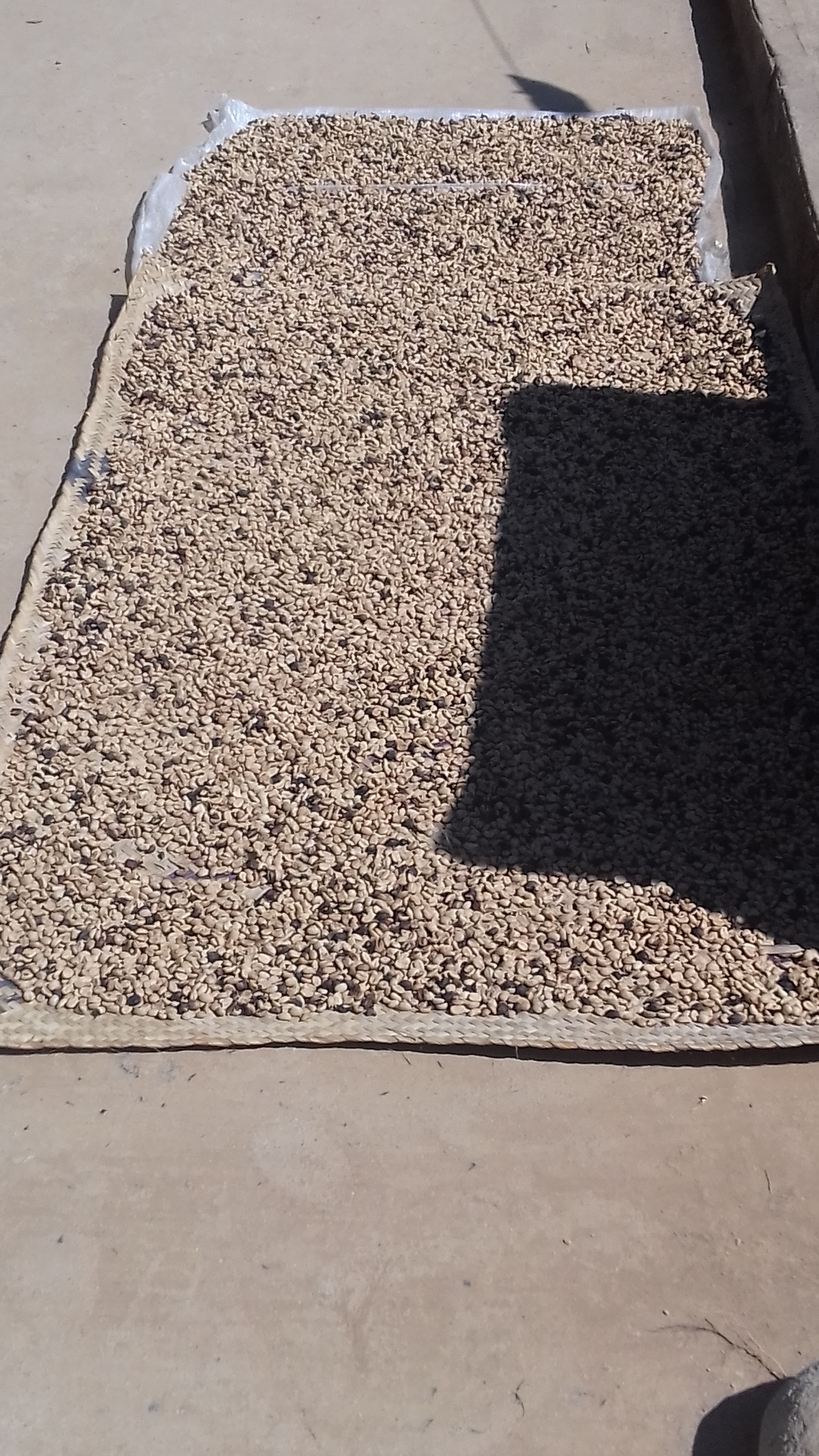 Dragón Rojo image 9