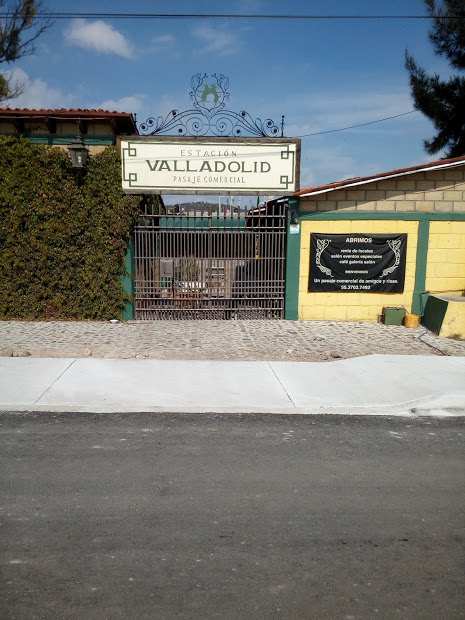 Estación Valladolid El Durazno - Cata Lagrata image 3