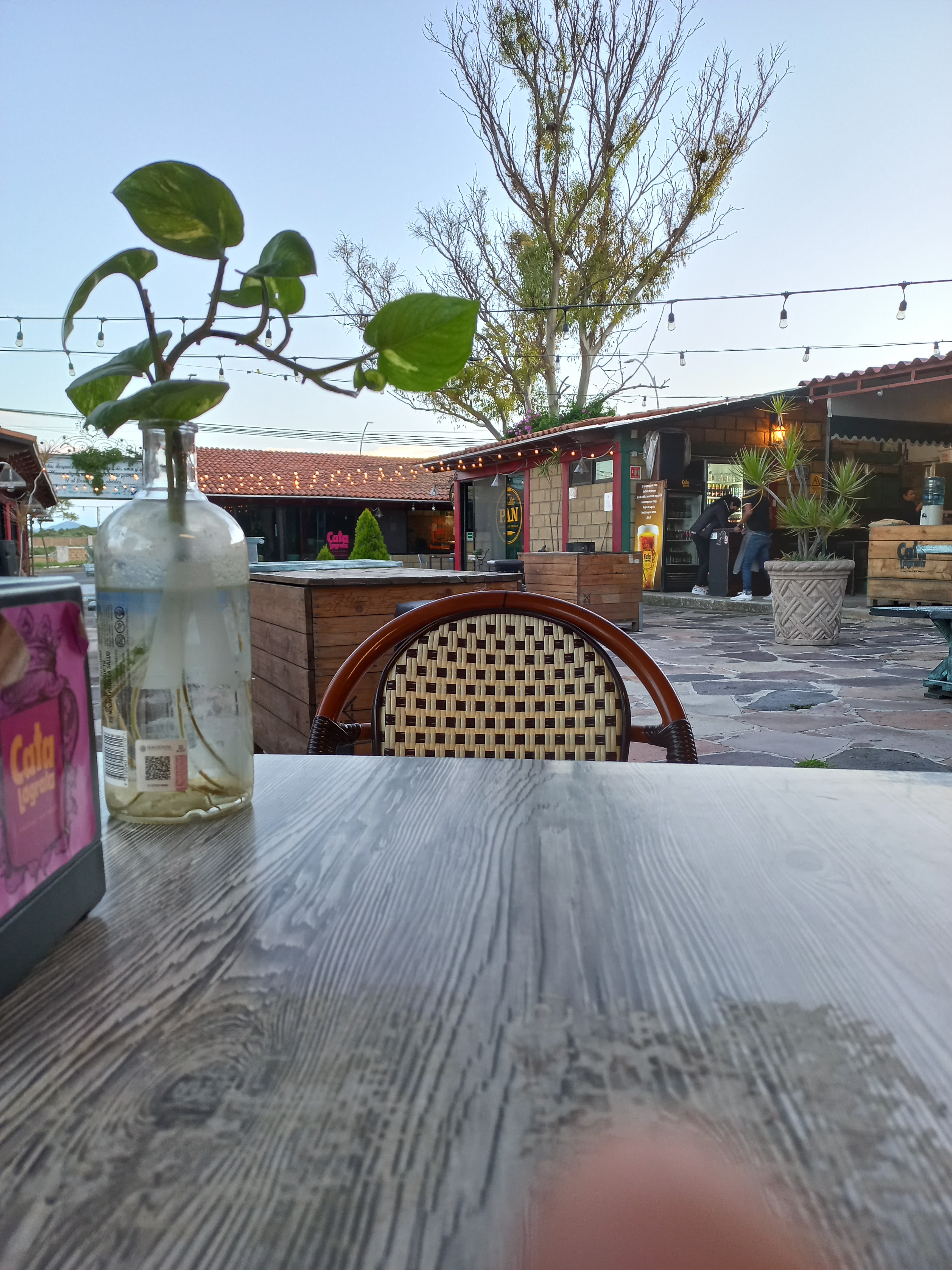 Estación Valladolid El Durazno - Cata Lagrata image 5