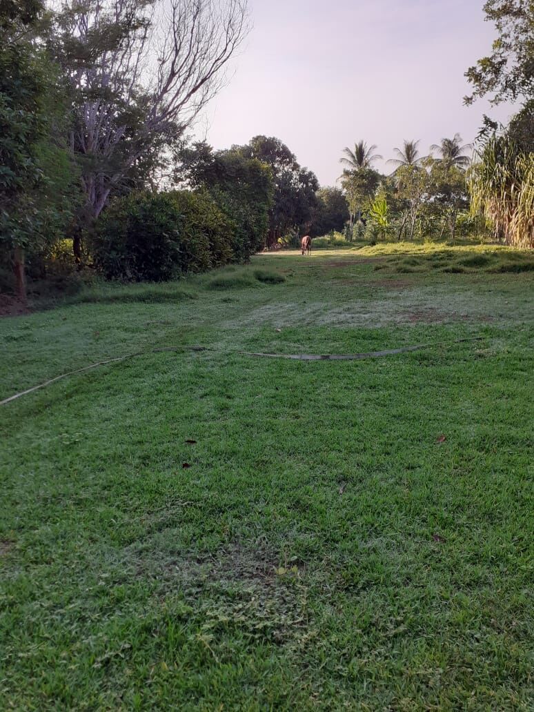 El Paraíso del Lobo image 2