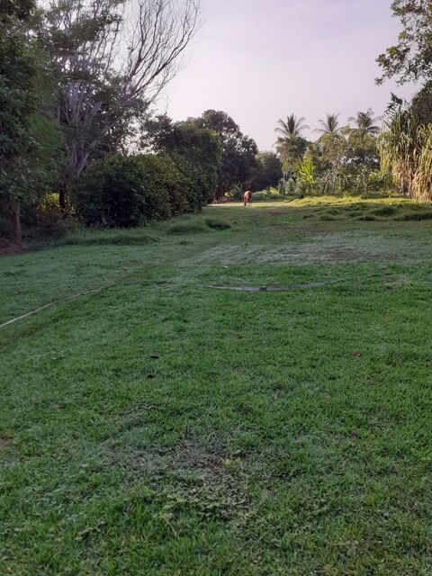 El Paraíso del Lobo image 2