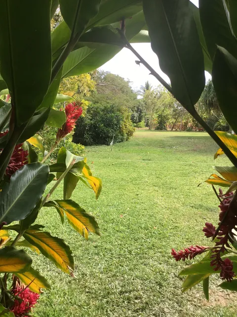 El Paraíso del Lobo image 3