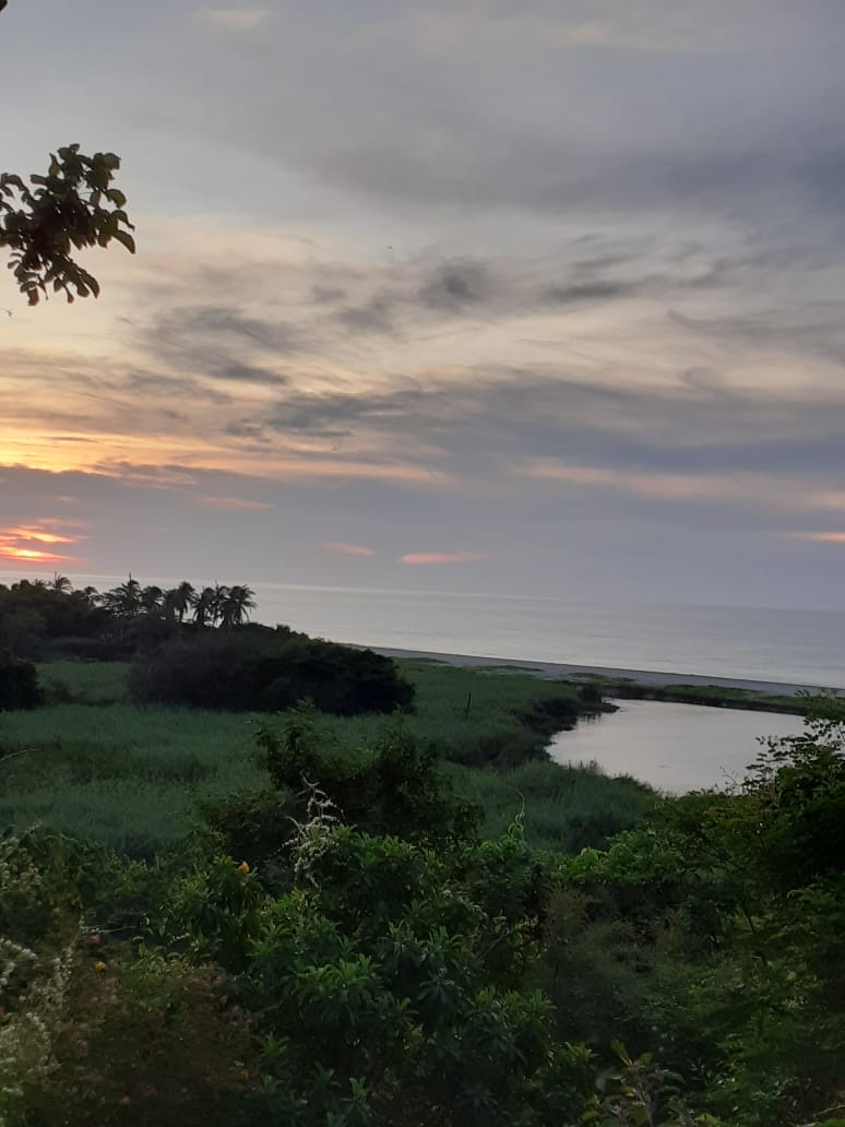 El Paraíso del Lobo image 4