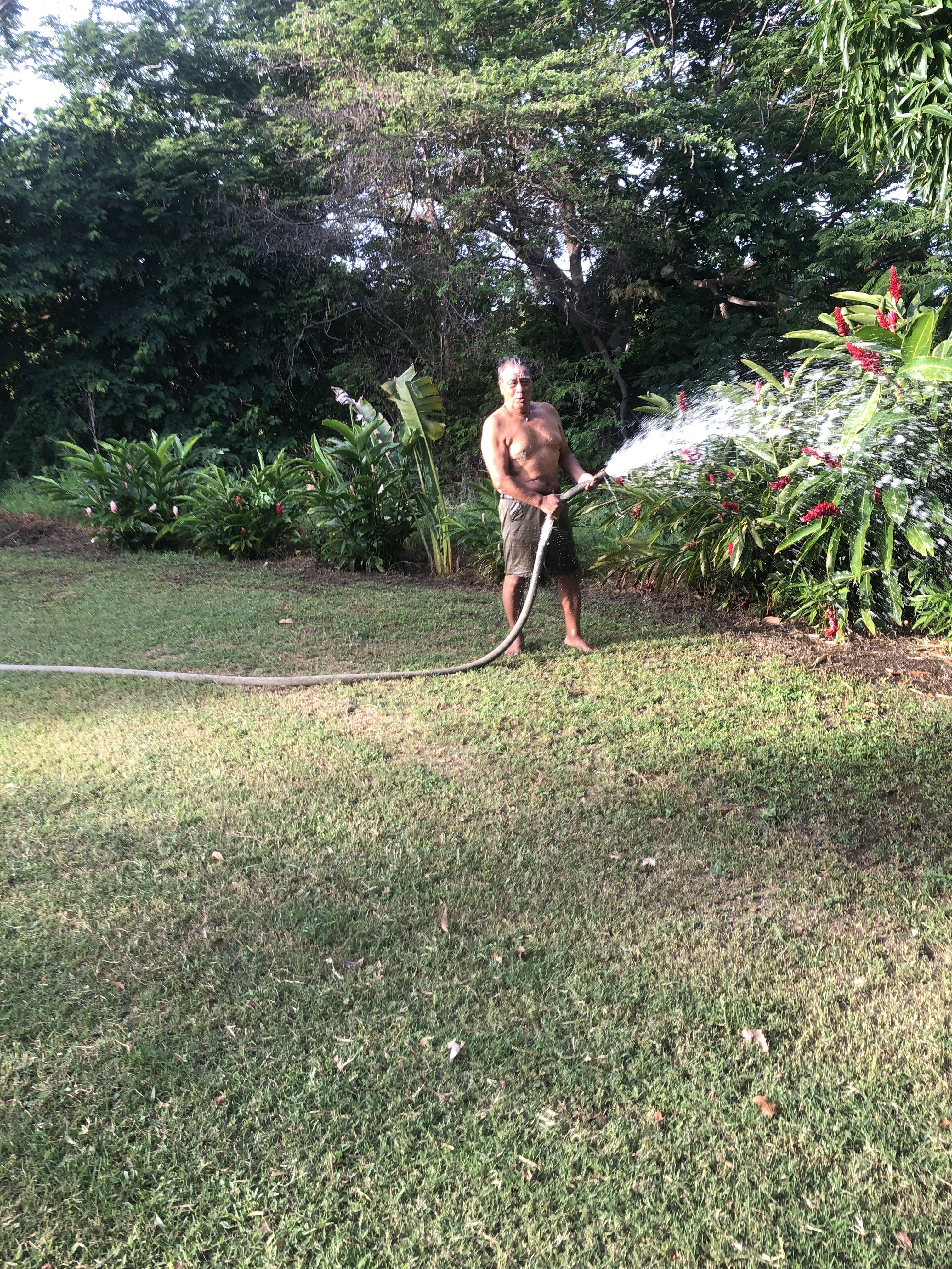 El Paraíso del Lobo image 6