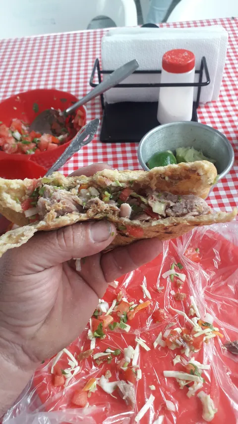 Carnitas image 7