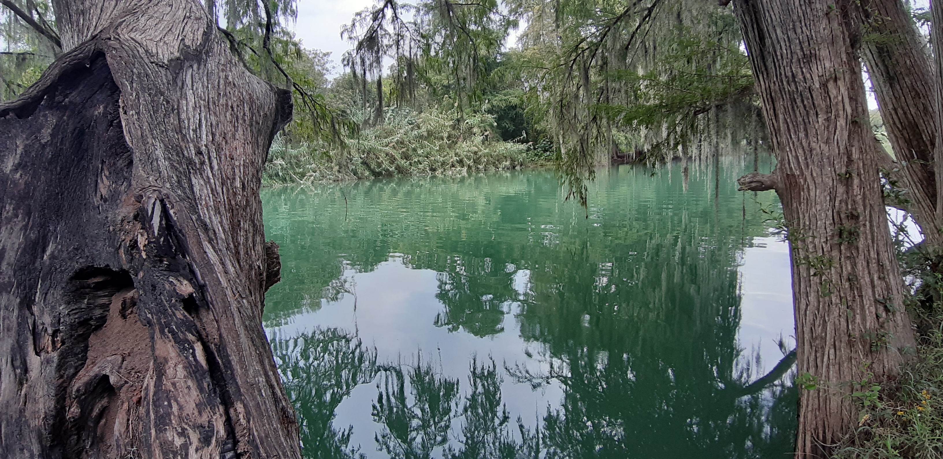 Restaurante El Faro image 6
