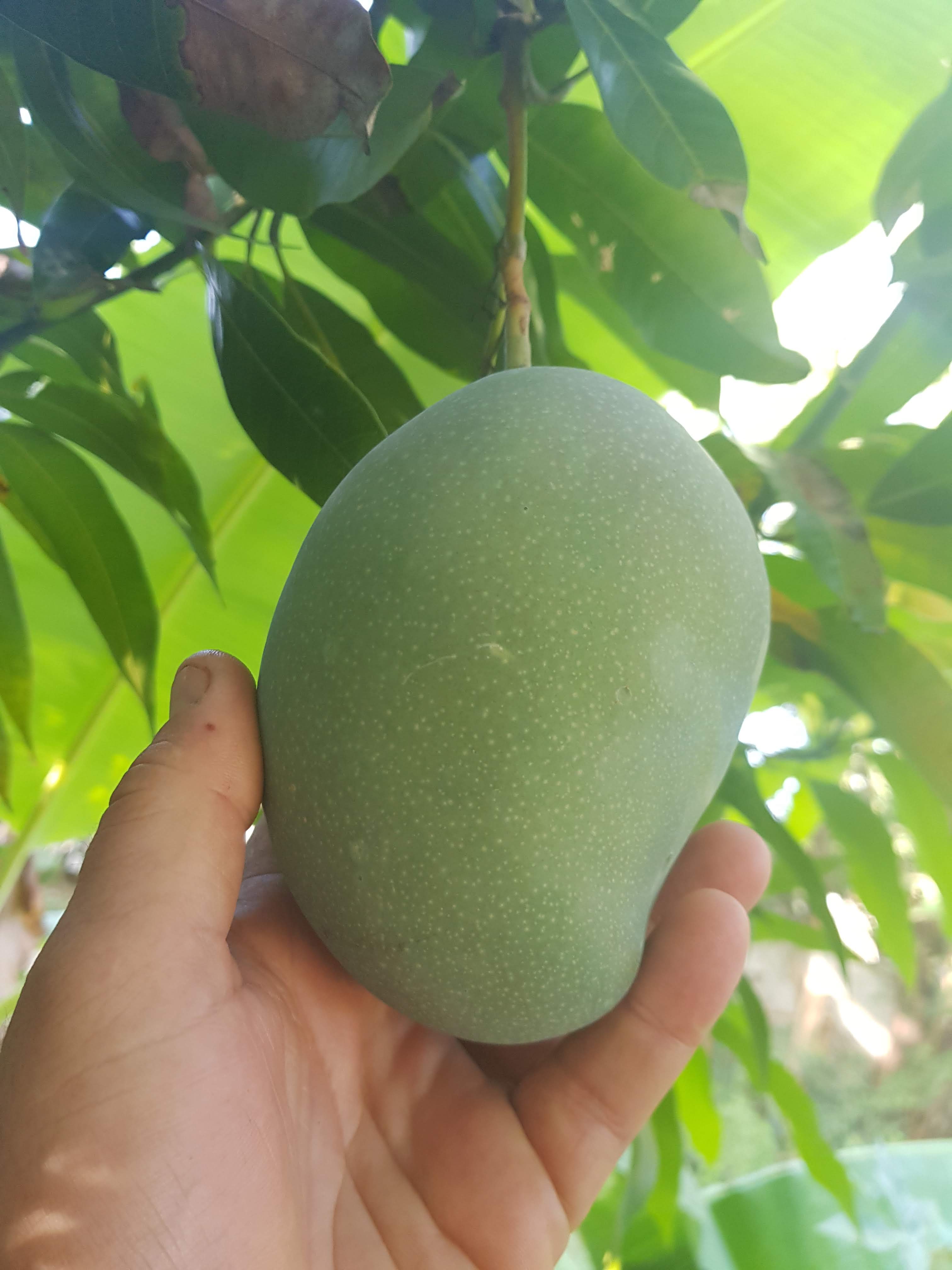 Restaurante El Faro image 8