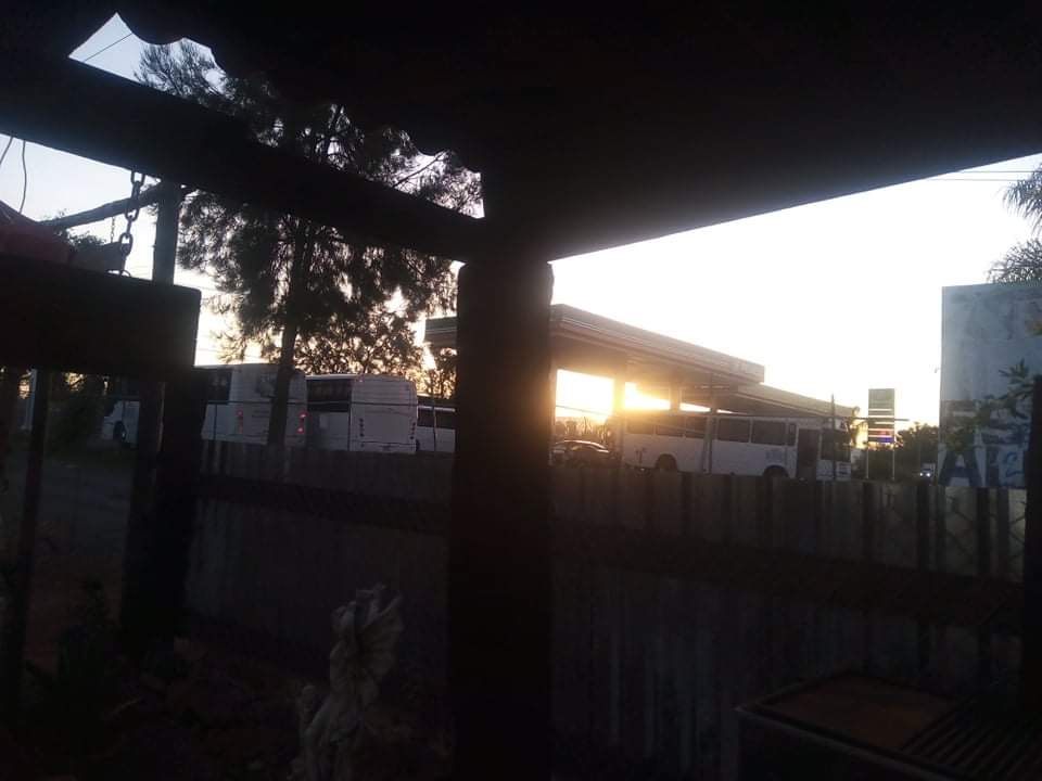 Carnitas el Rodeo image 8