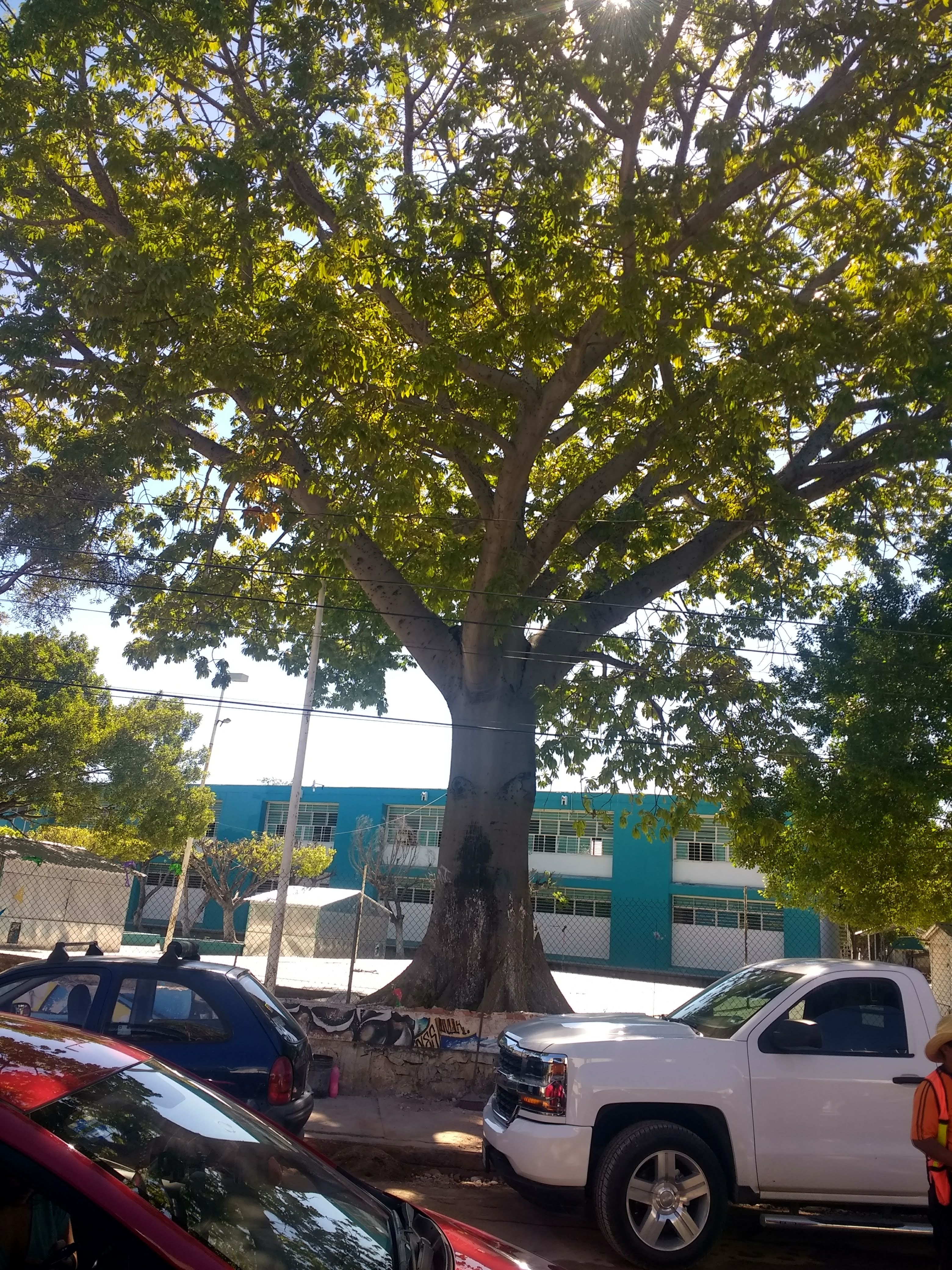 Gorditas Don Rafita [Torre Chiapas] image 8