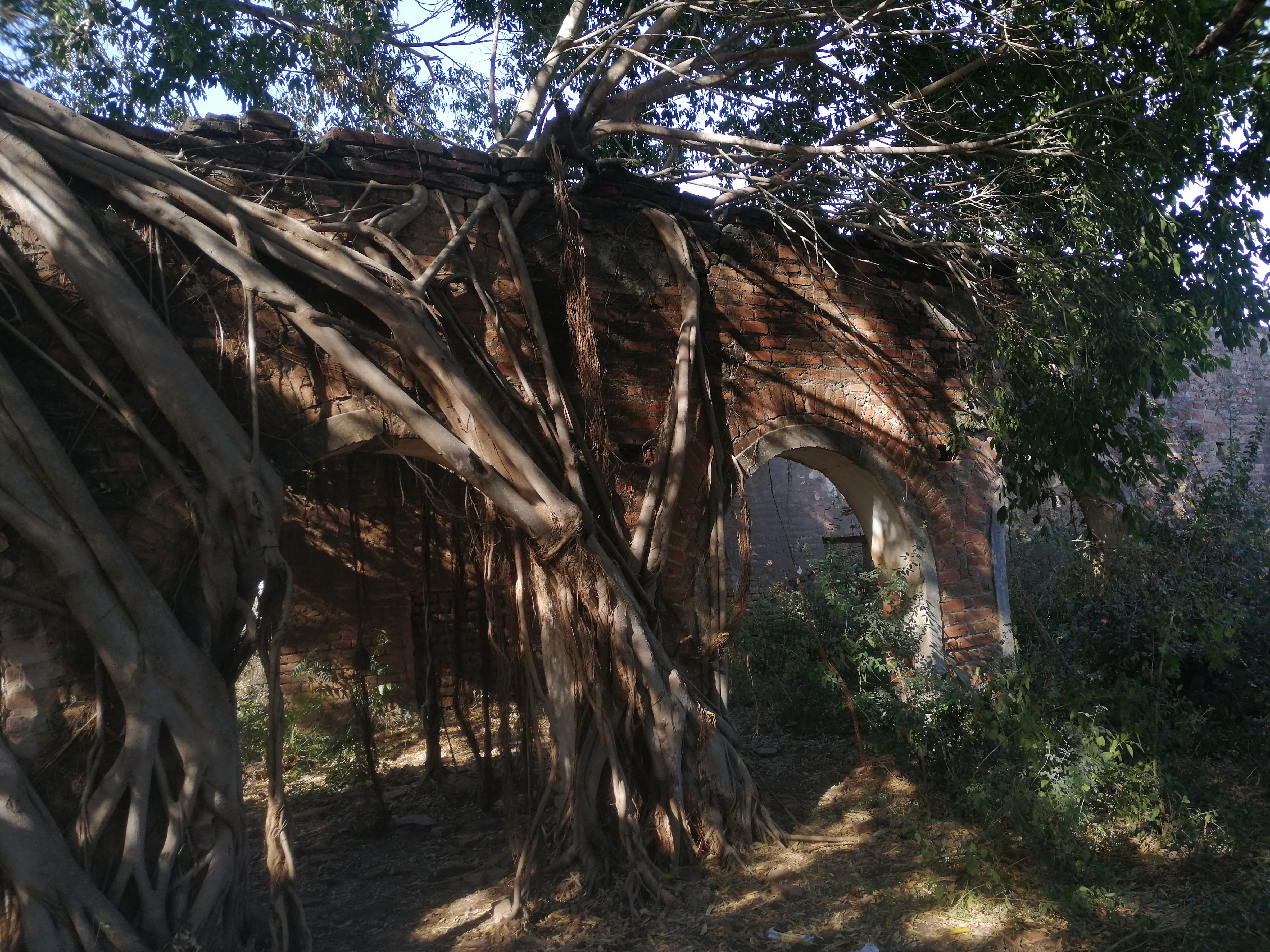 PALAPA DEL COMPA MAICK image 3