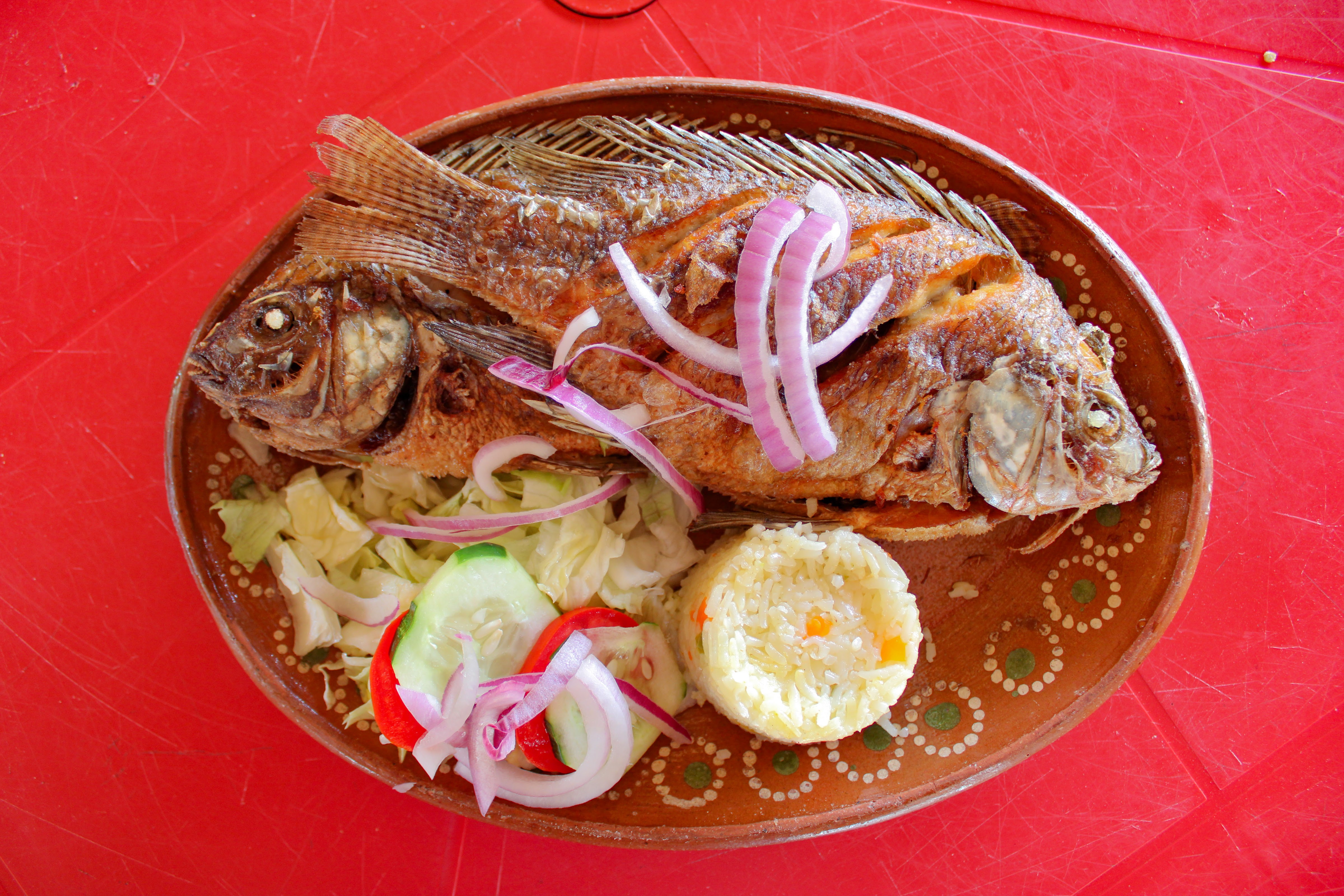 Restaurant Campestre Las Higueras image 2