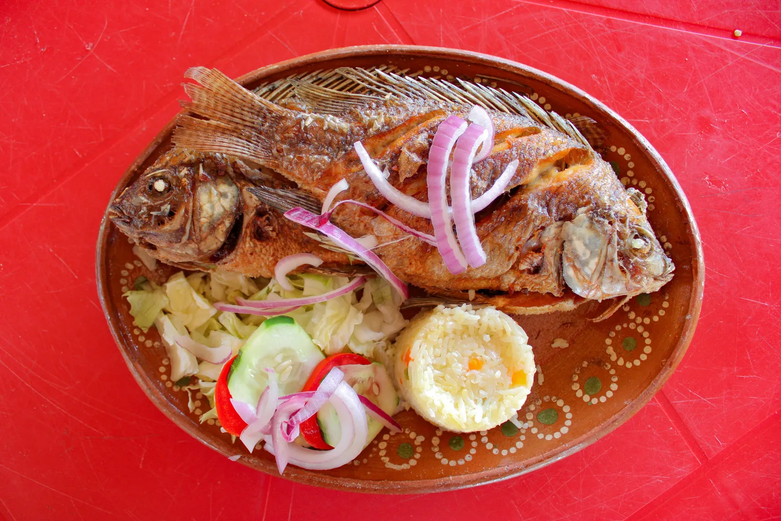 Restaurant Campestre Las Higueras image 2