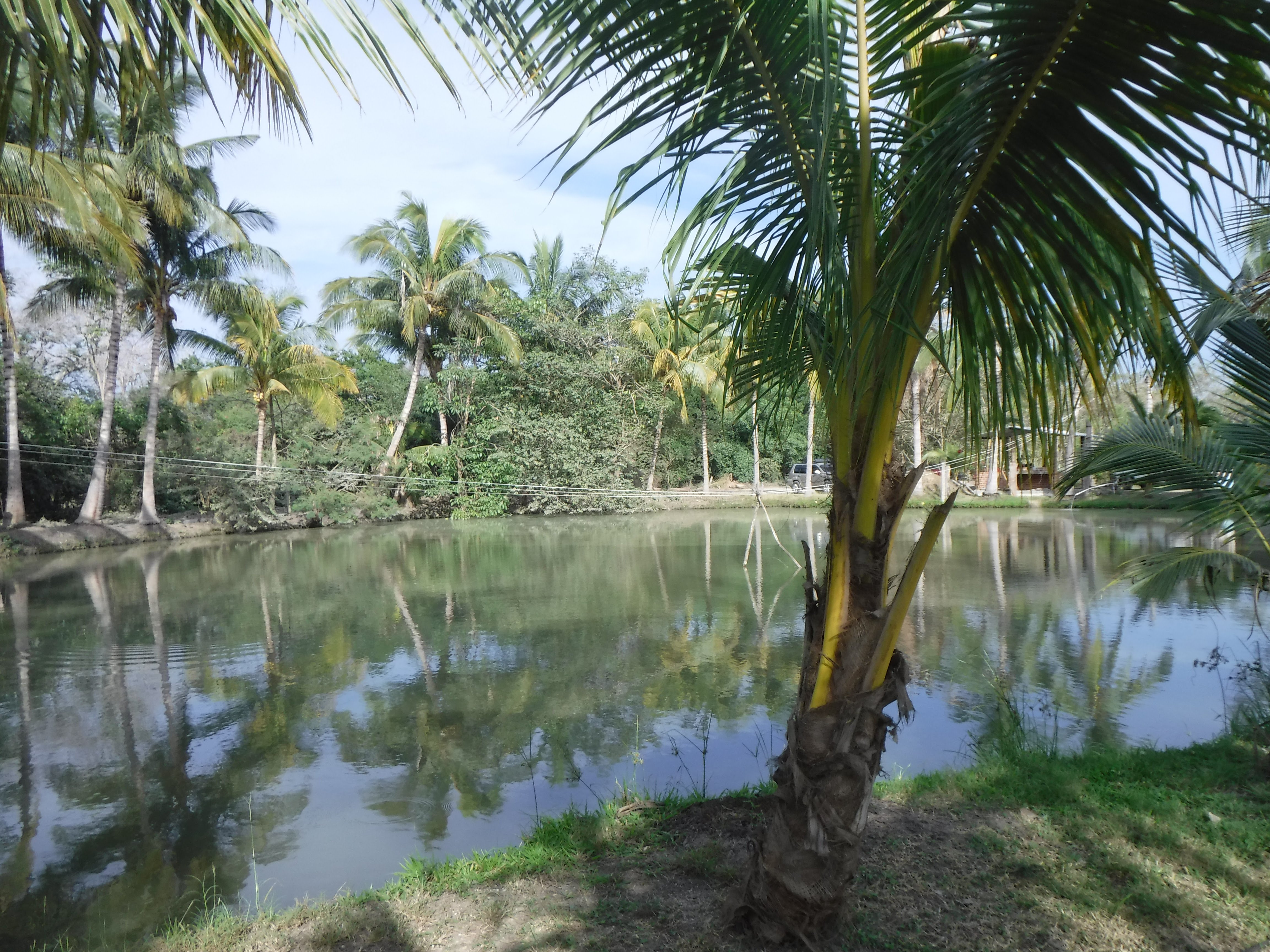 Restaurant Campestre Las Higueras image 4