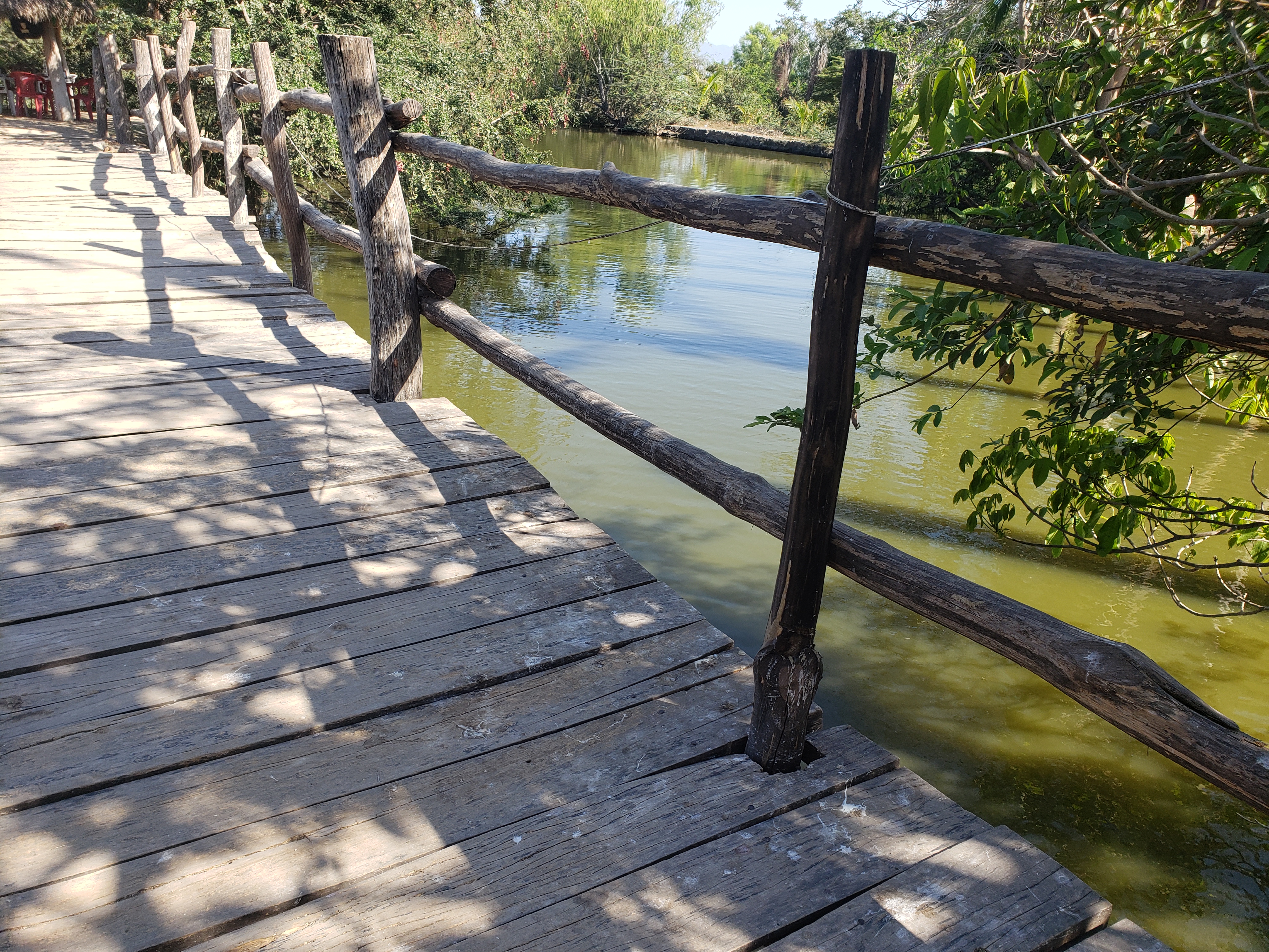 Restaurant Campestre Las Higueras image 8