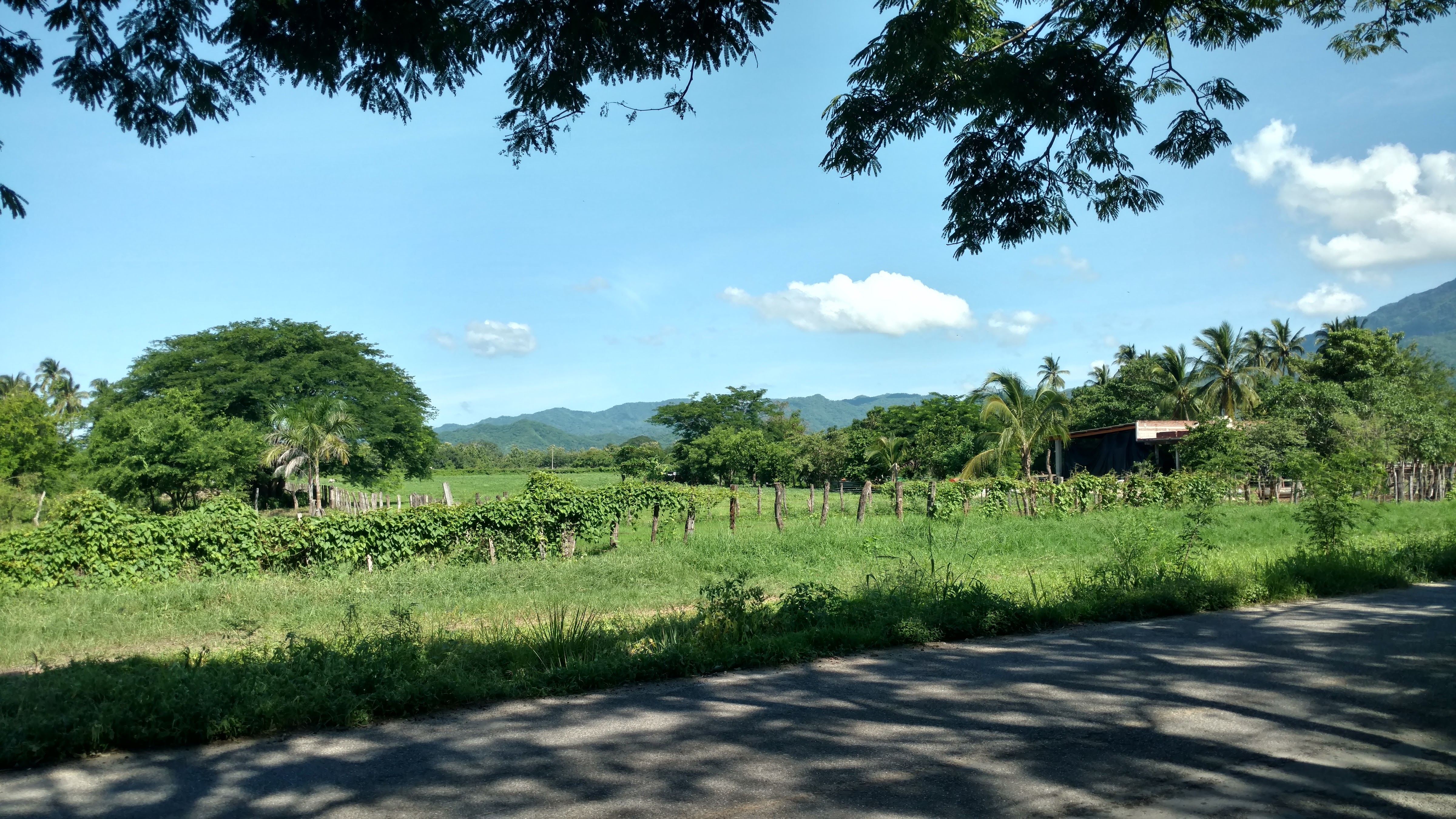 Asadero Las Parotas image 4