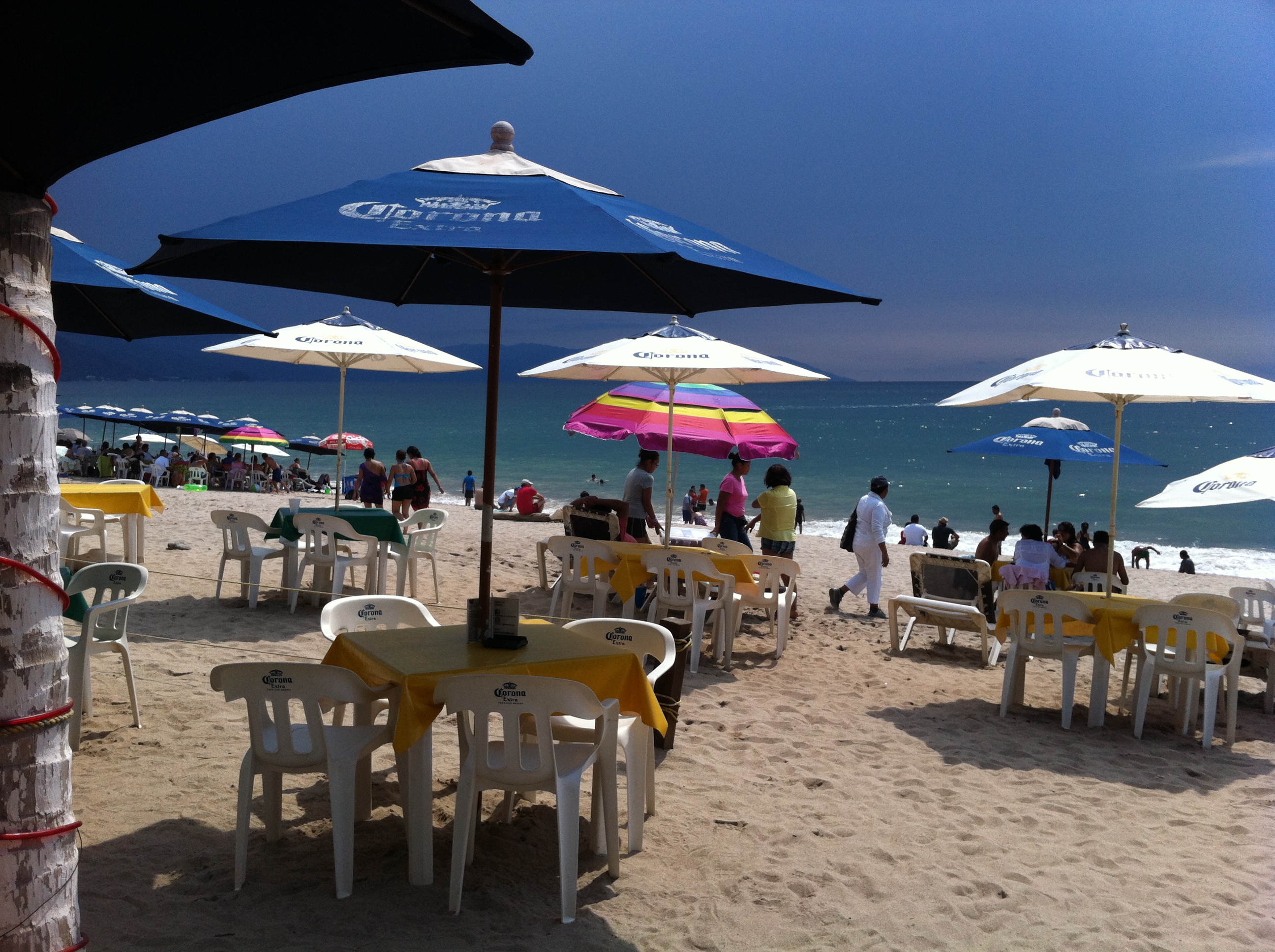 Burros Bar & Restaurant image 1