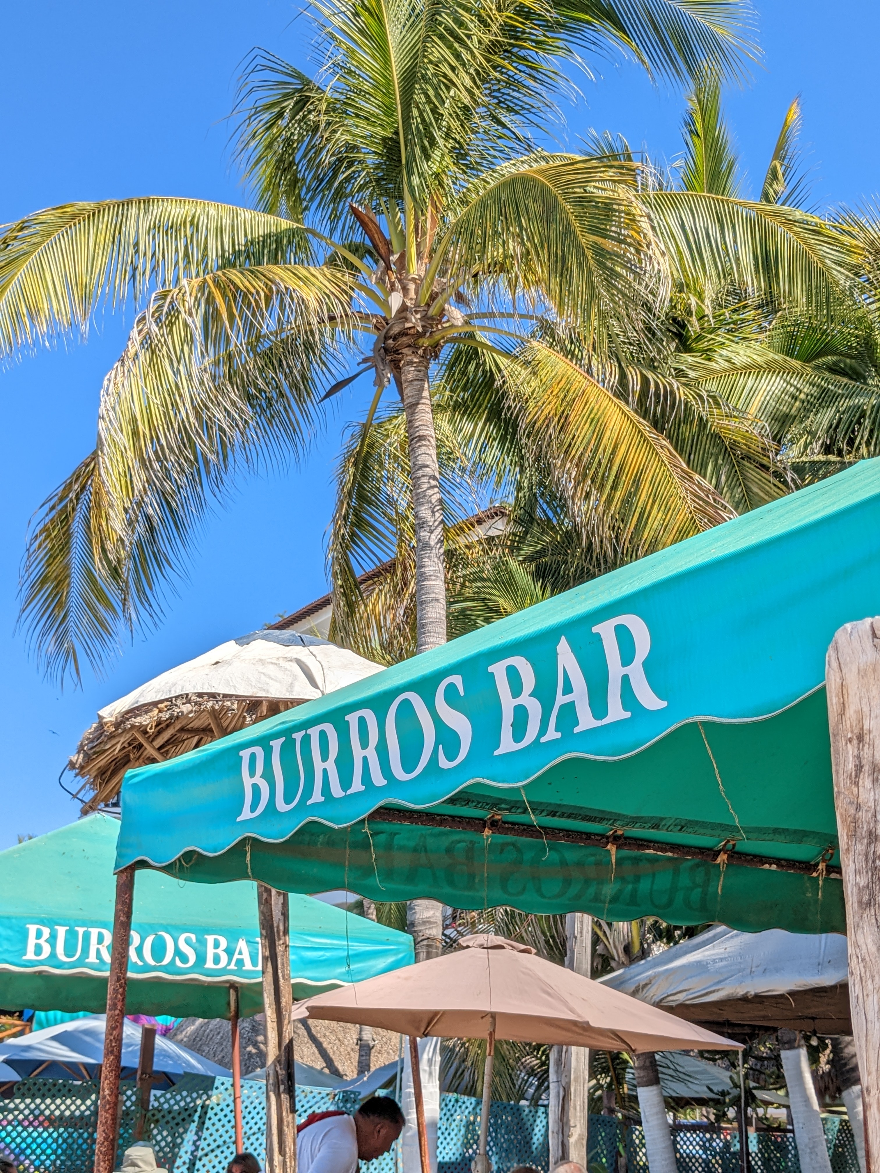 Burros Bar & Restaurant image 9