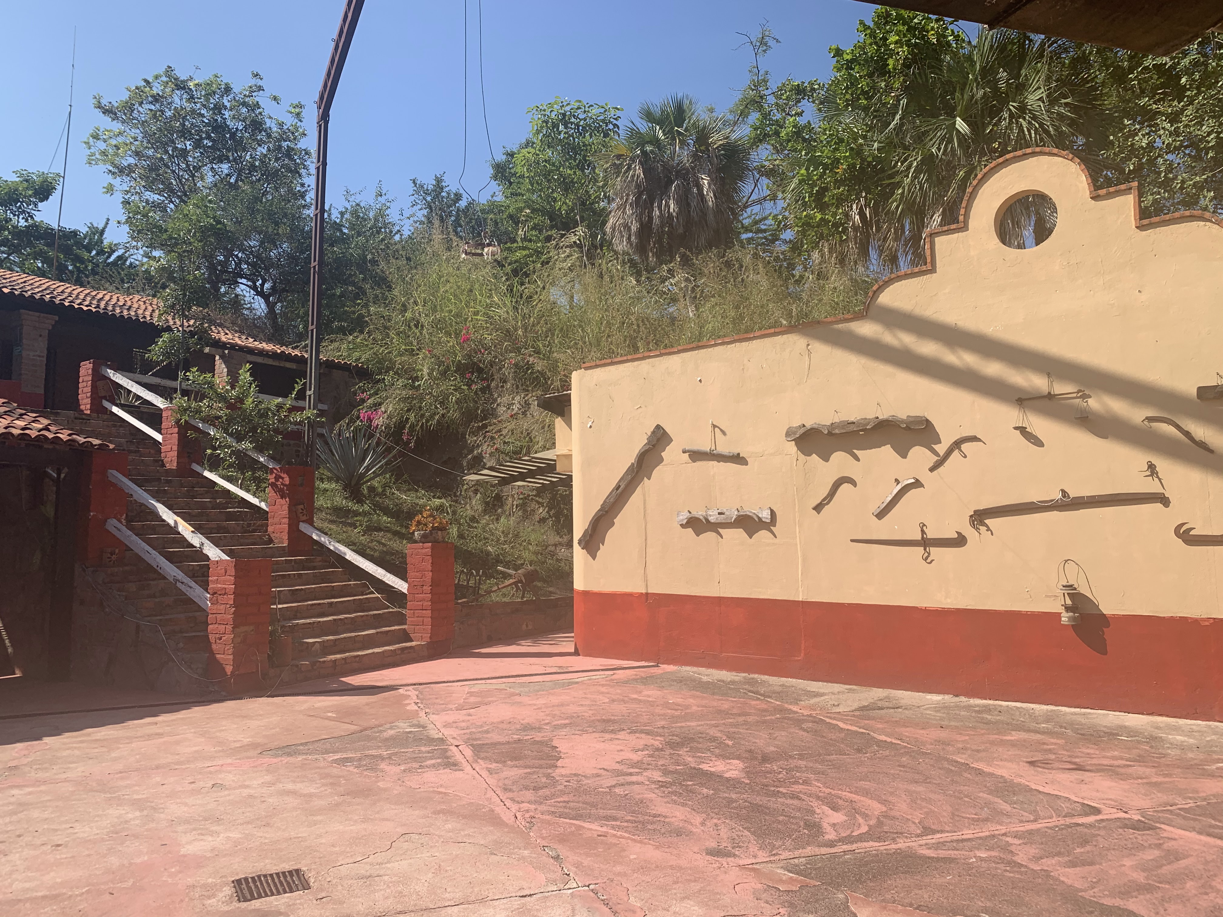 Restaurant Los Tres Chiles image 5