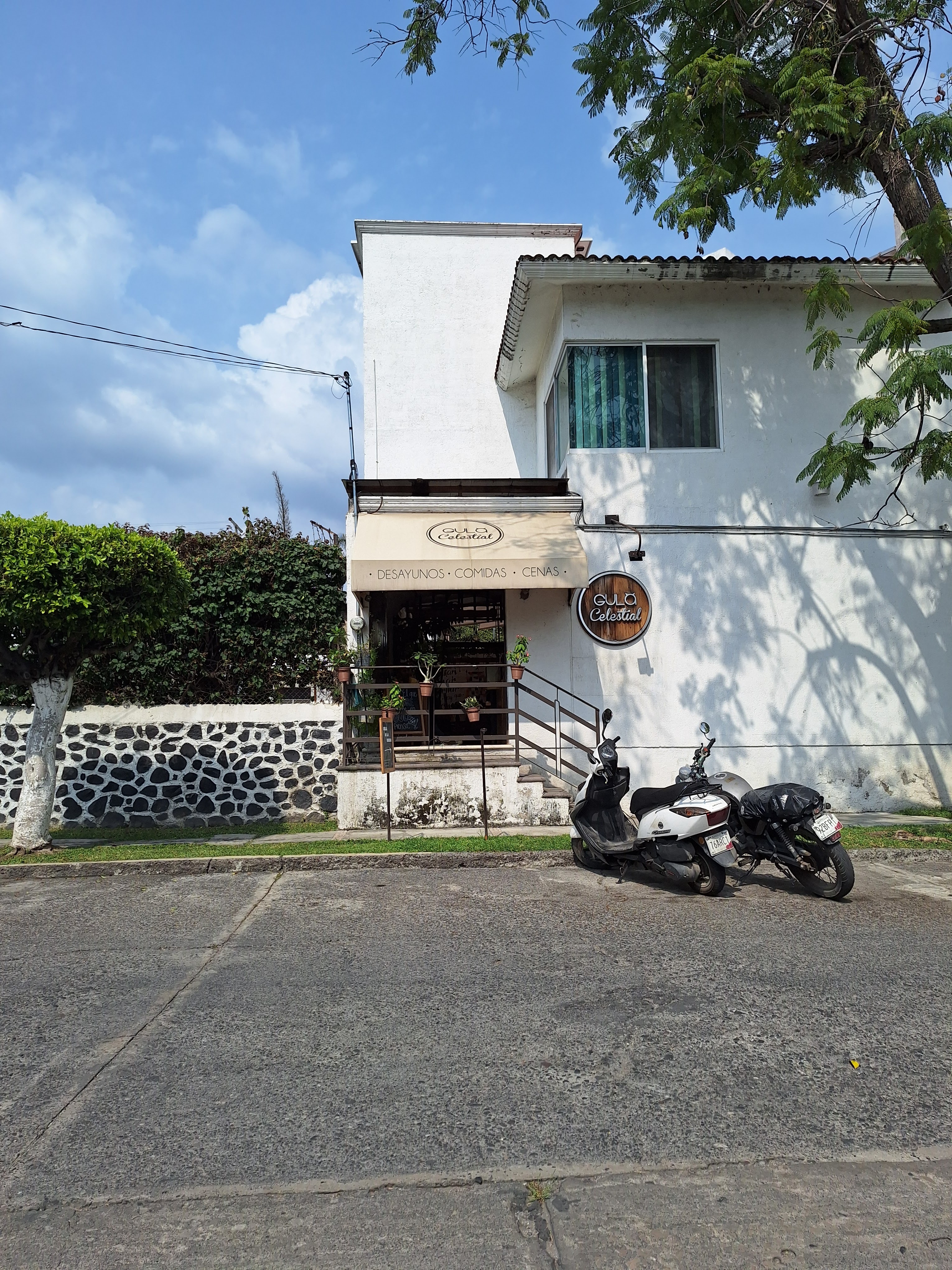 Gula Celestial image 8