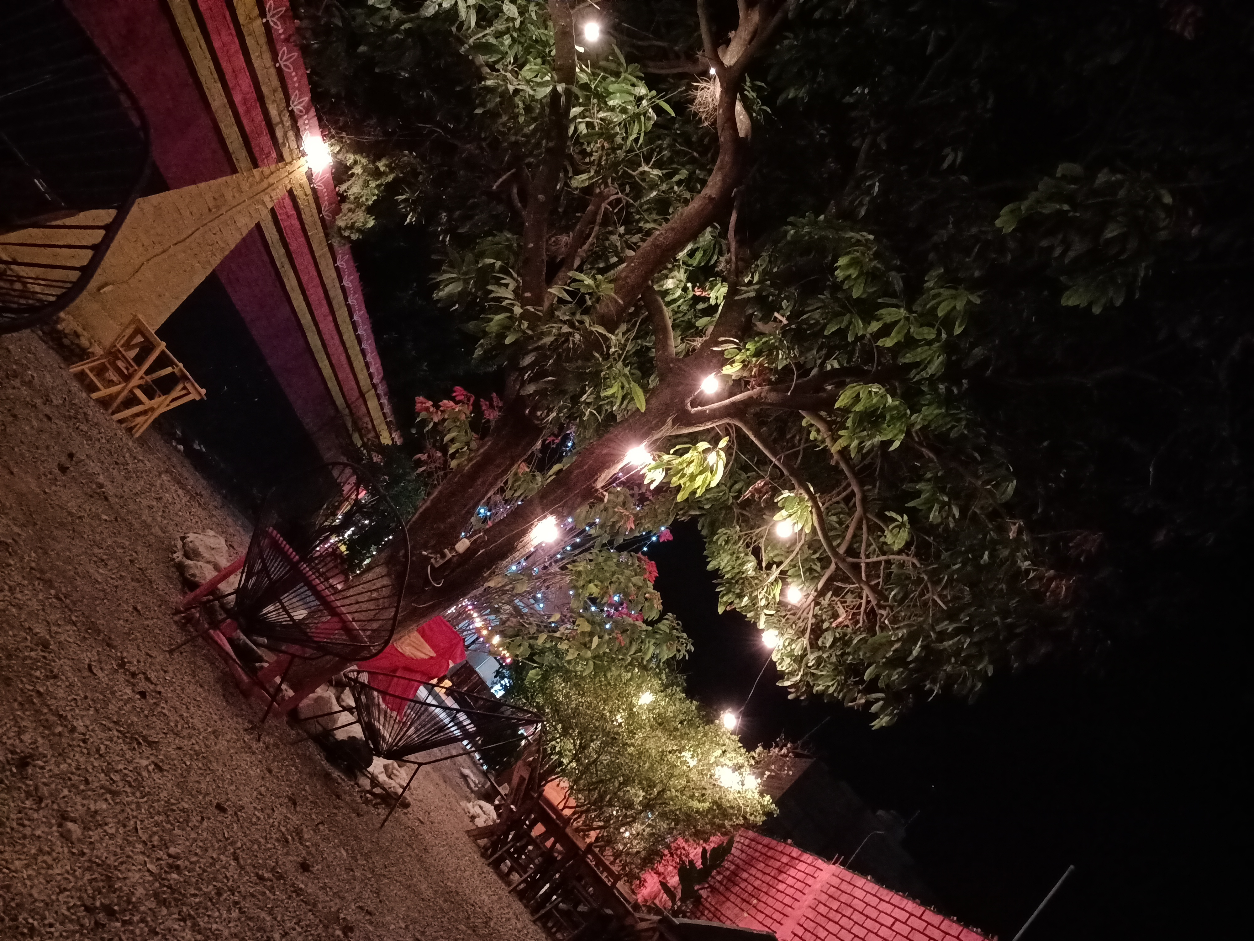 Jardín de los Sueños "Mystique" image 5