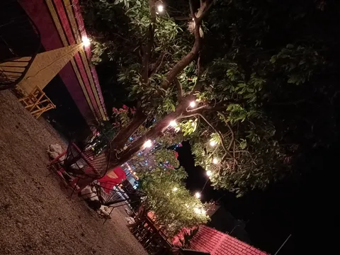 Jardín de los Sueños "Mystique" image 5
