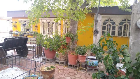 Restaurante Las Dunas image 6