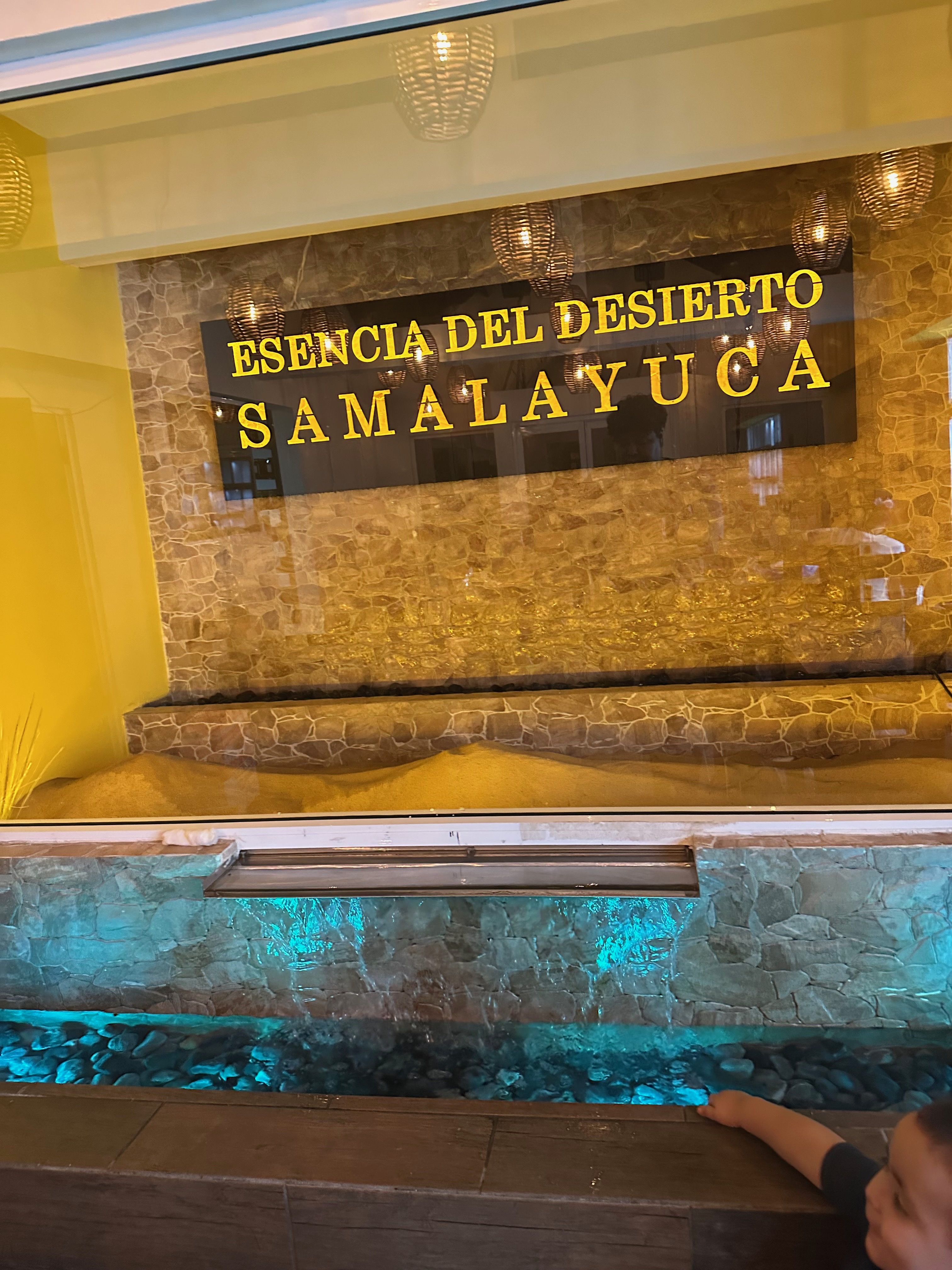 Restaurante Esencia del Desierto image 8