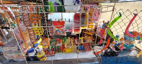 Lanchas La Palapa image 1