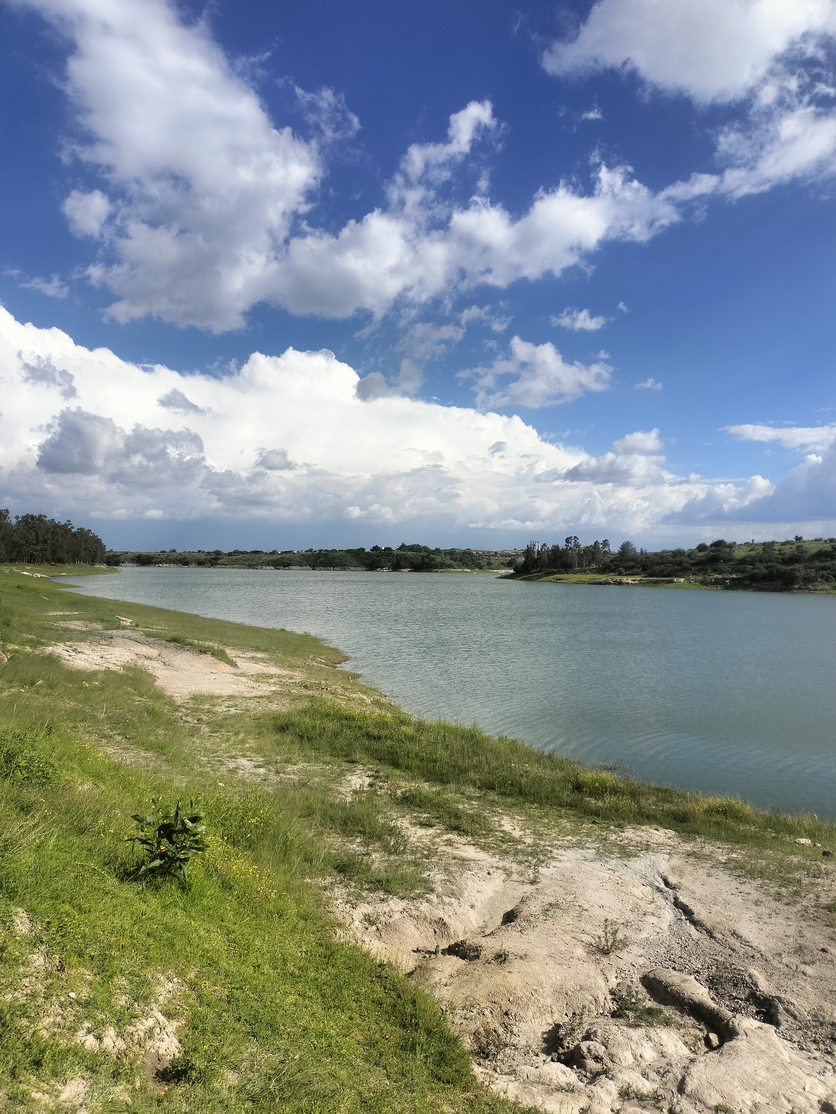 Lanchas La Palapa image 7
