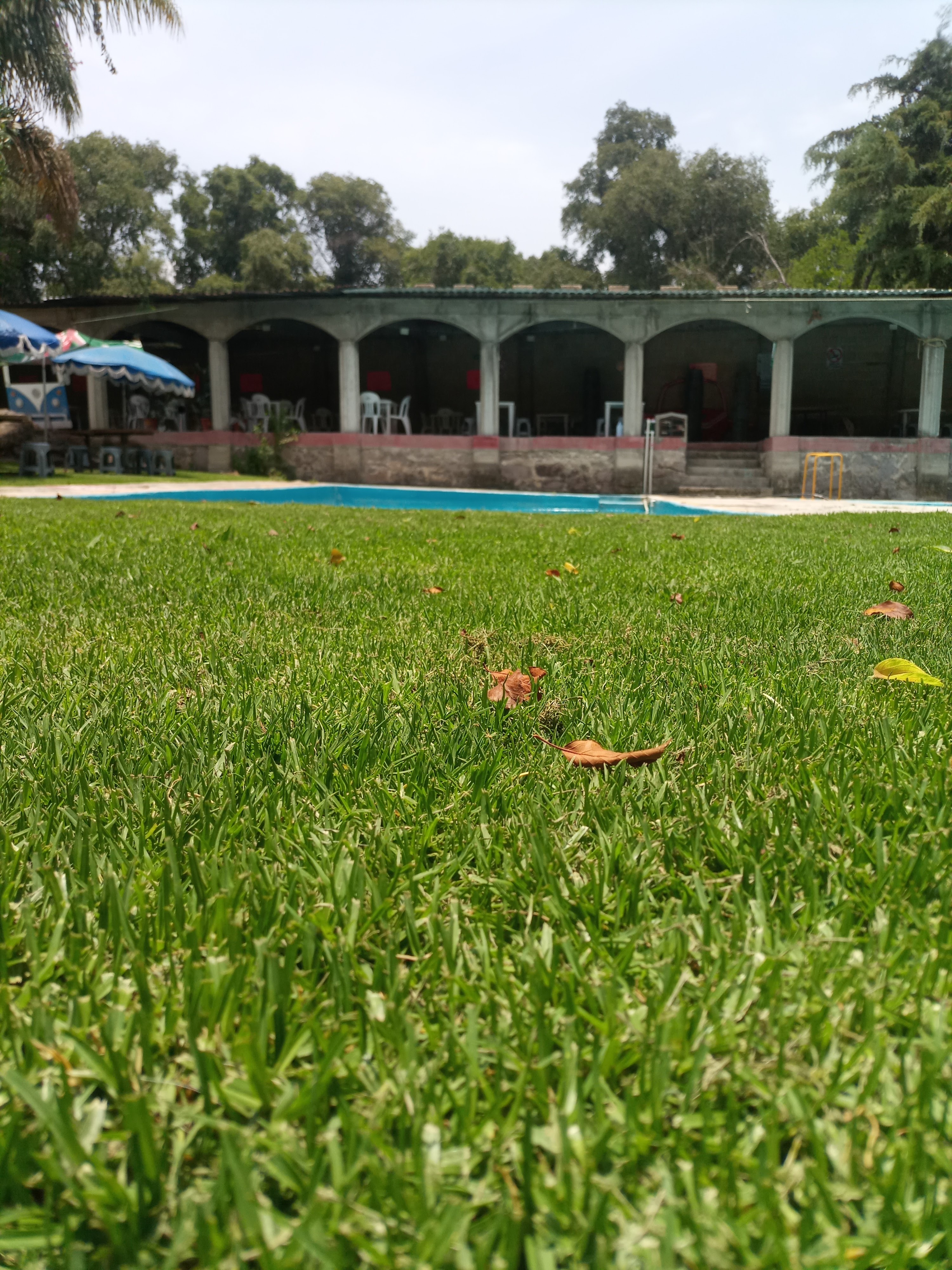 Centro Recreativo Los Arcos image 6