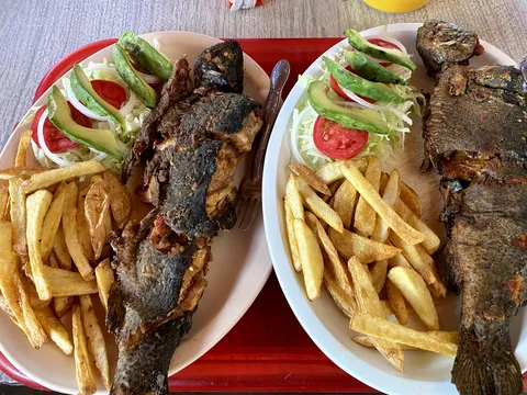 Truchas Rinconada El Ahuehuete image 1