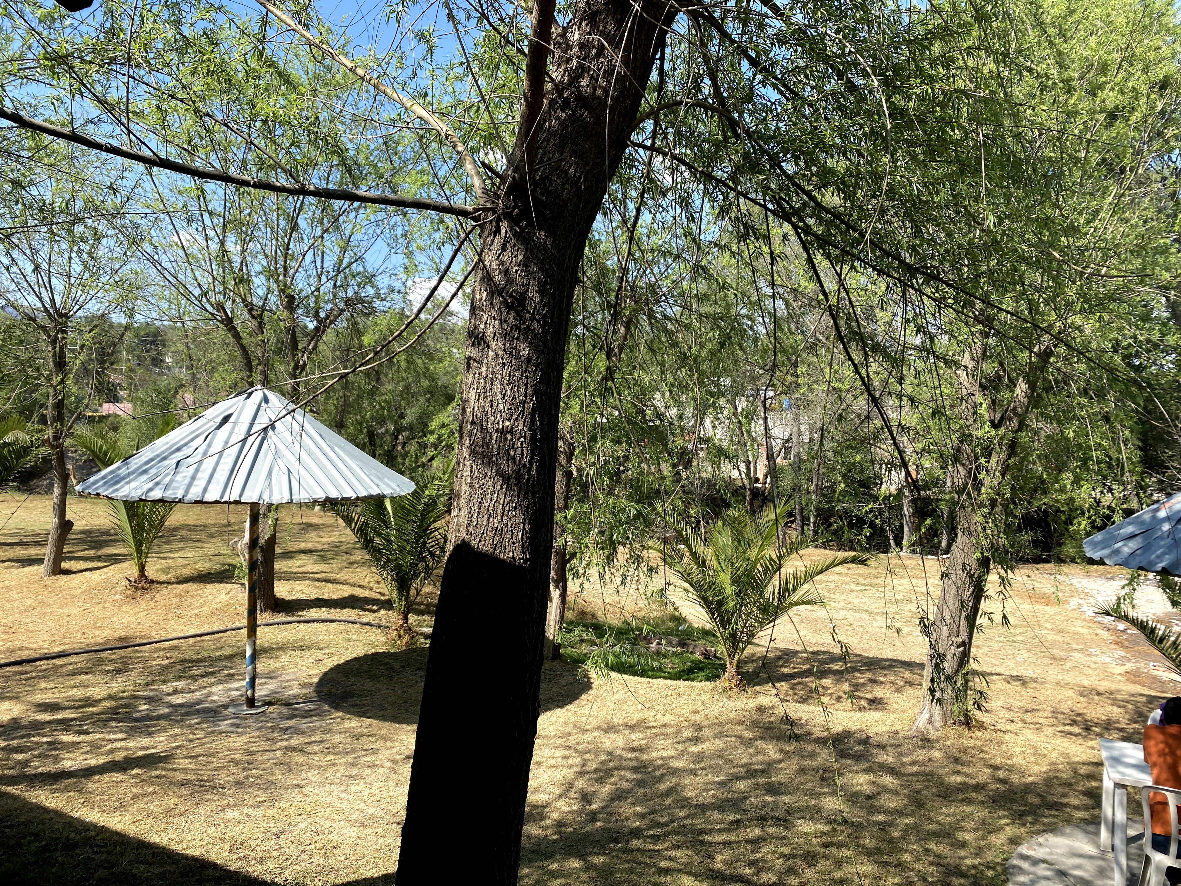 Truchas Rinconada El Ahuehuete image 2