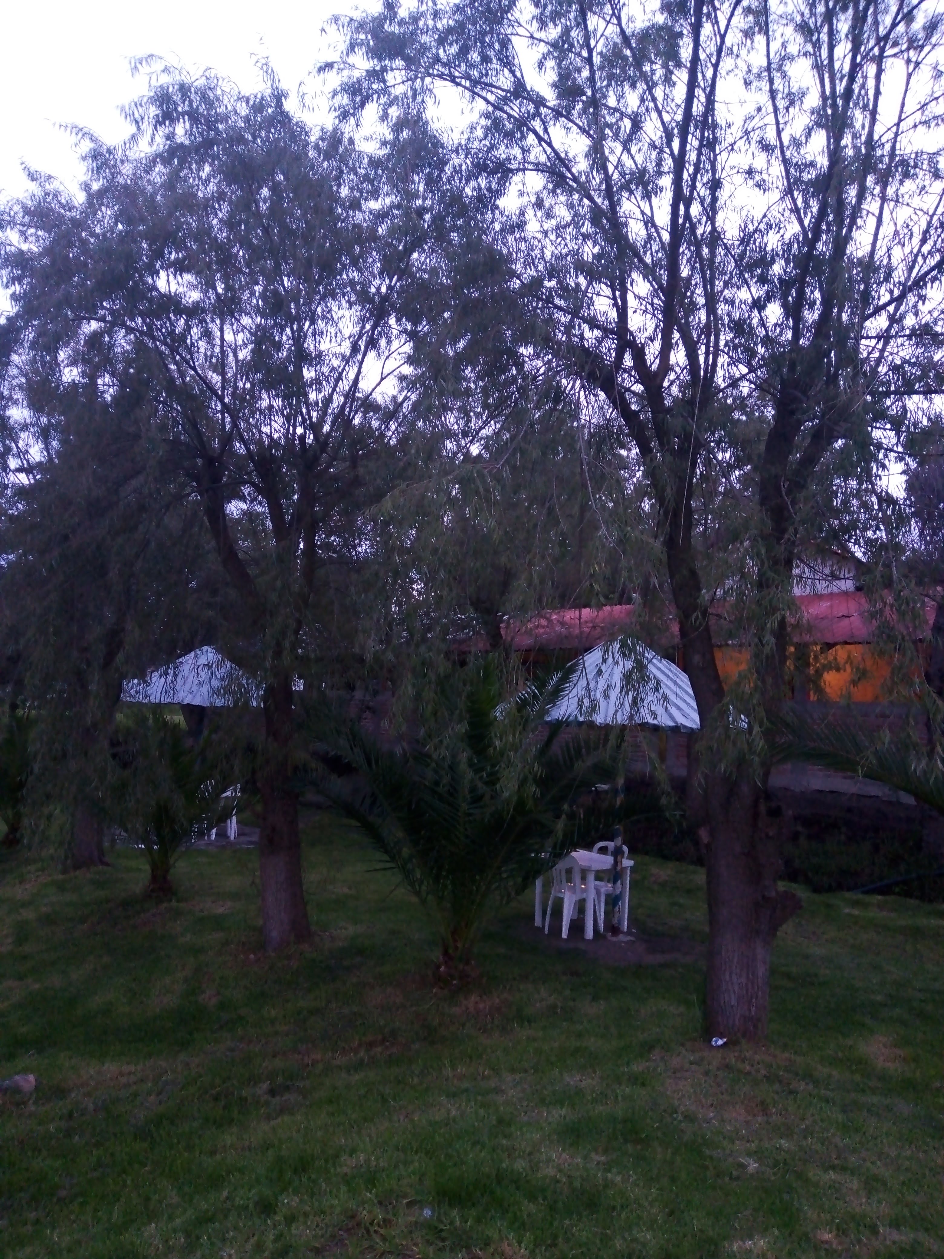 Truchas Rinconada El Ahuehuete image 7