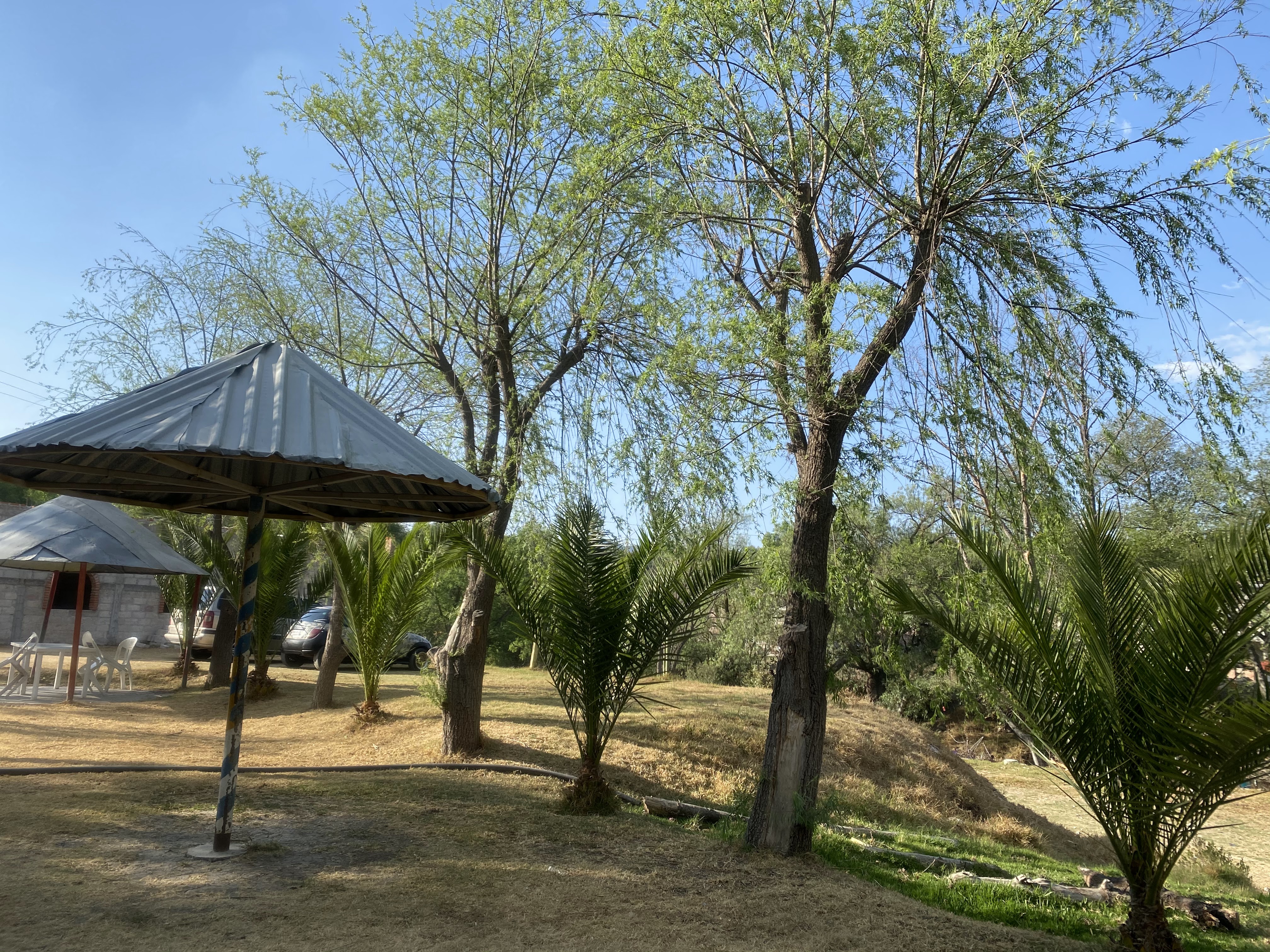 Truchas Rinconada El Ahuehuete image 9