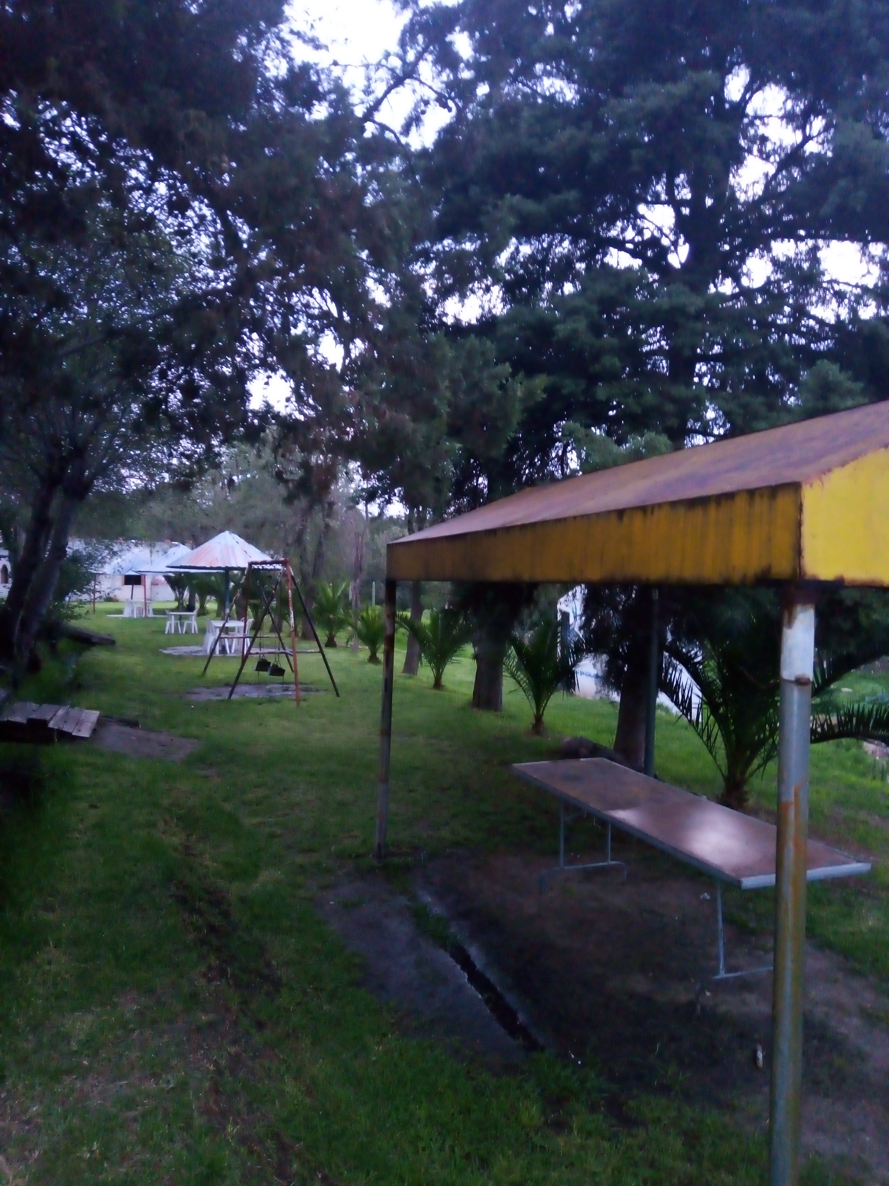 Truchas Rinconada El Ahuehuete image 10